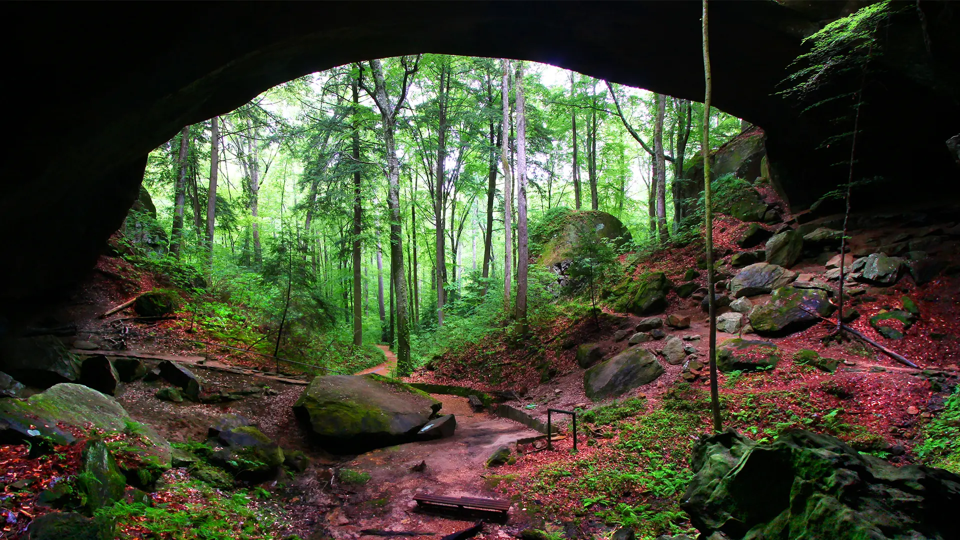 Natural Bridge