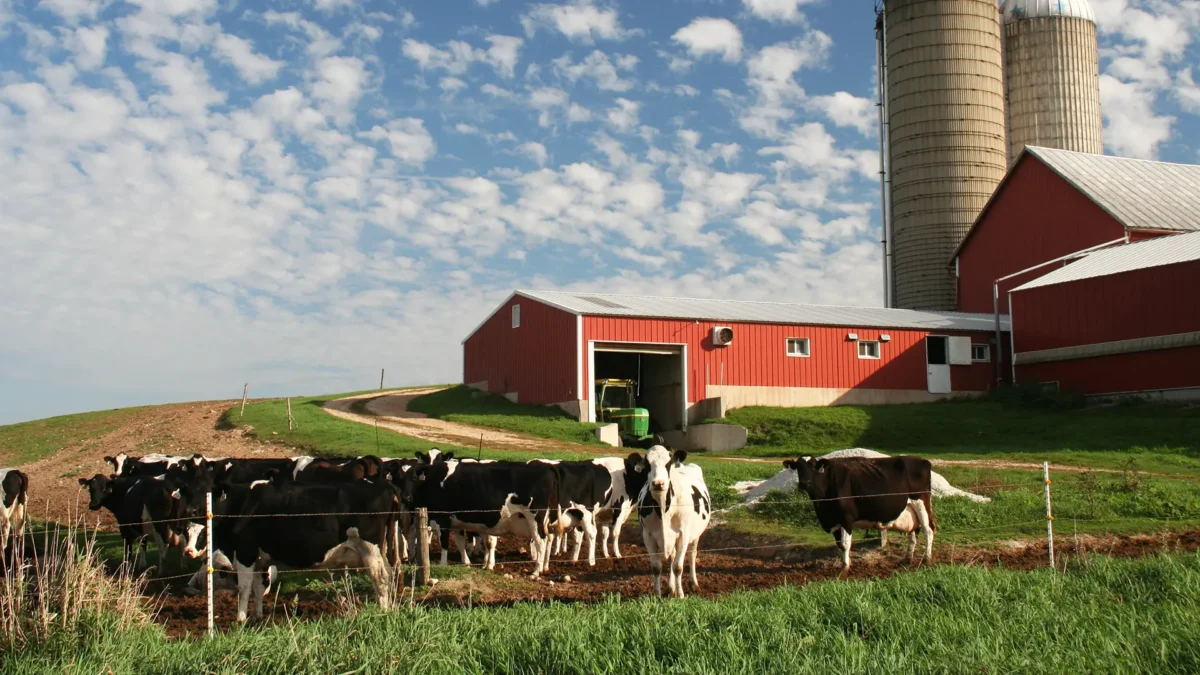 Wisconsin dairy farm