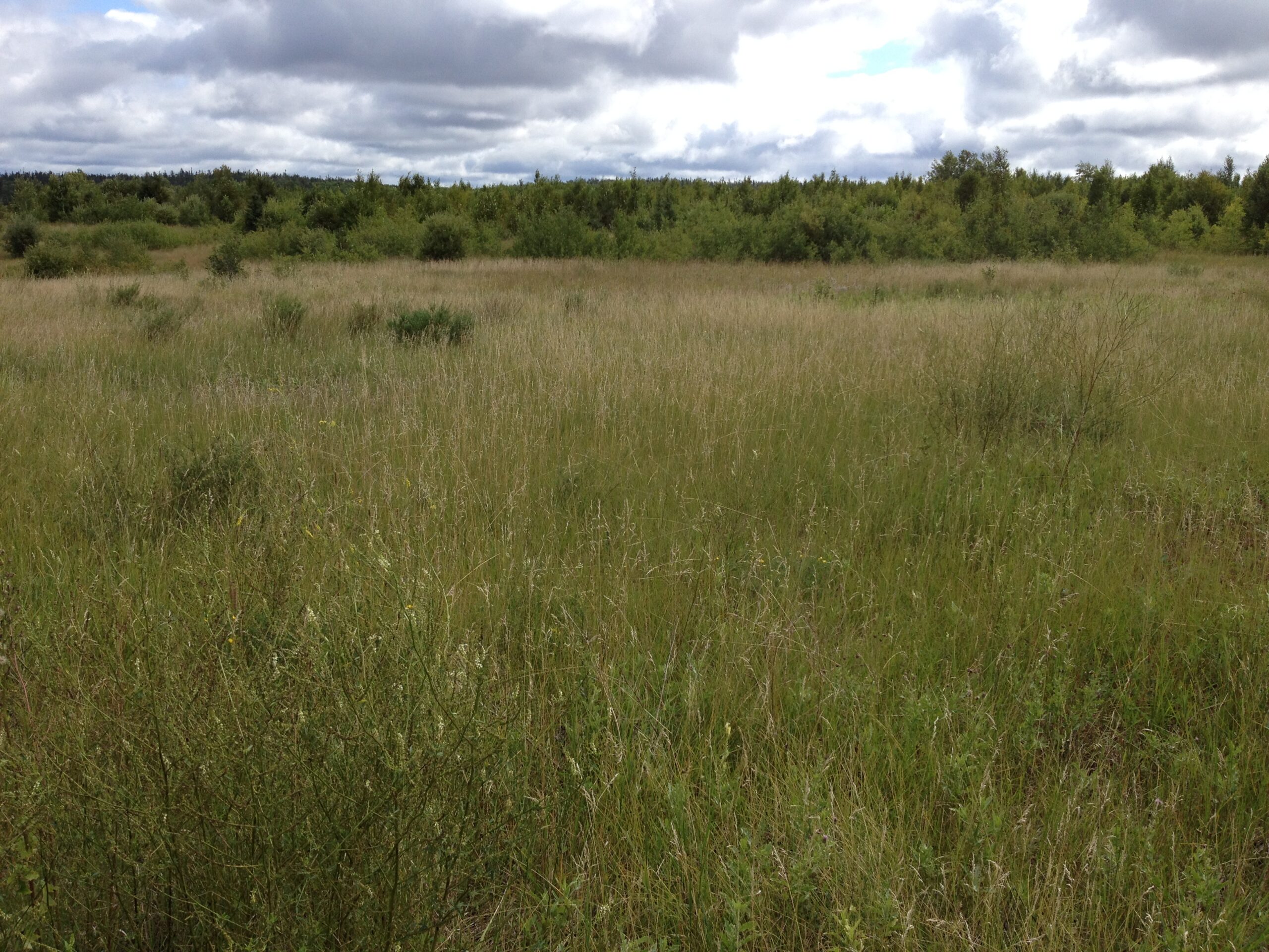 Environmental Assessment and Permitting Service Sheet
