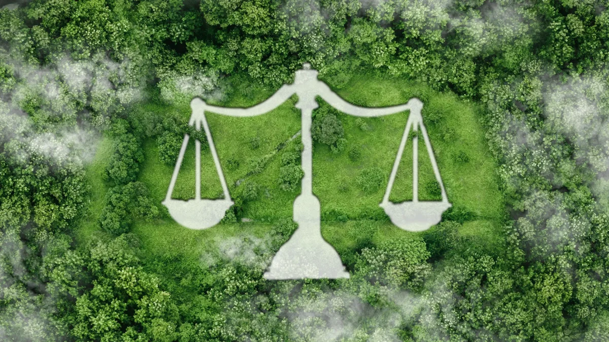 Icon scales on the nature background