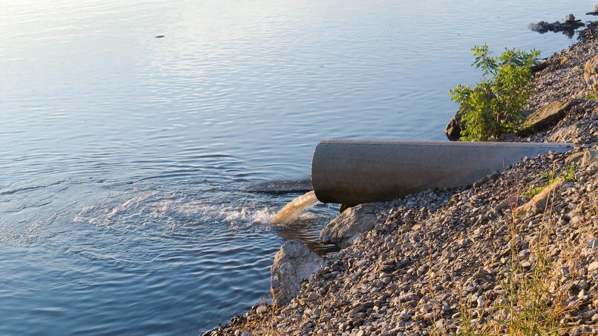 Stormwater Pollution Prevention Plan (SWPPP)
