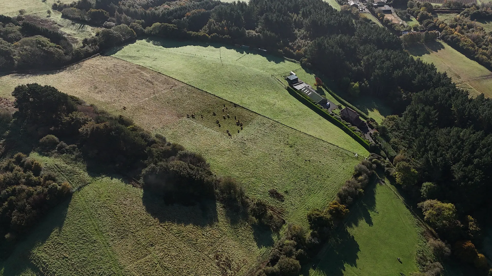 Assessing Hydrology Impacts and Habitat Management Needs