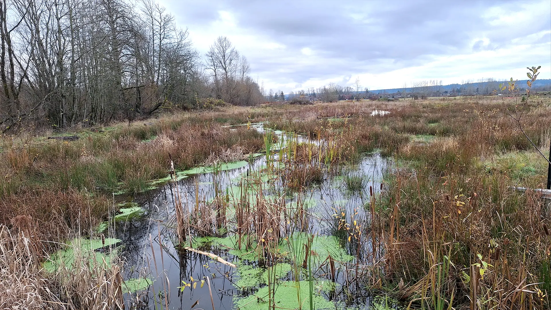 Soundview + NorthPoint Development Case Study