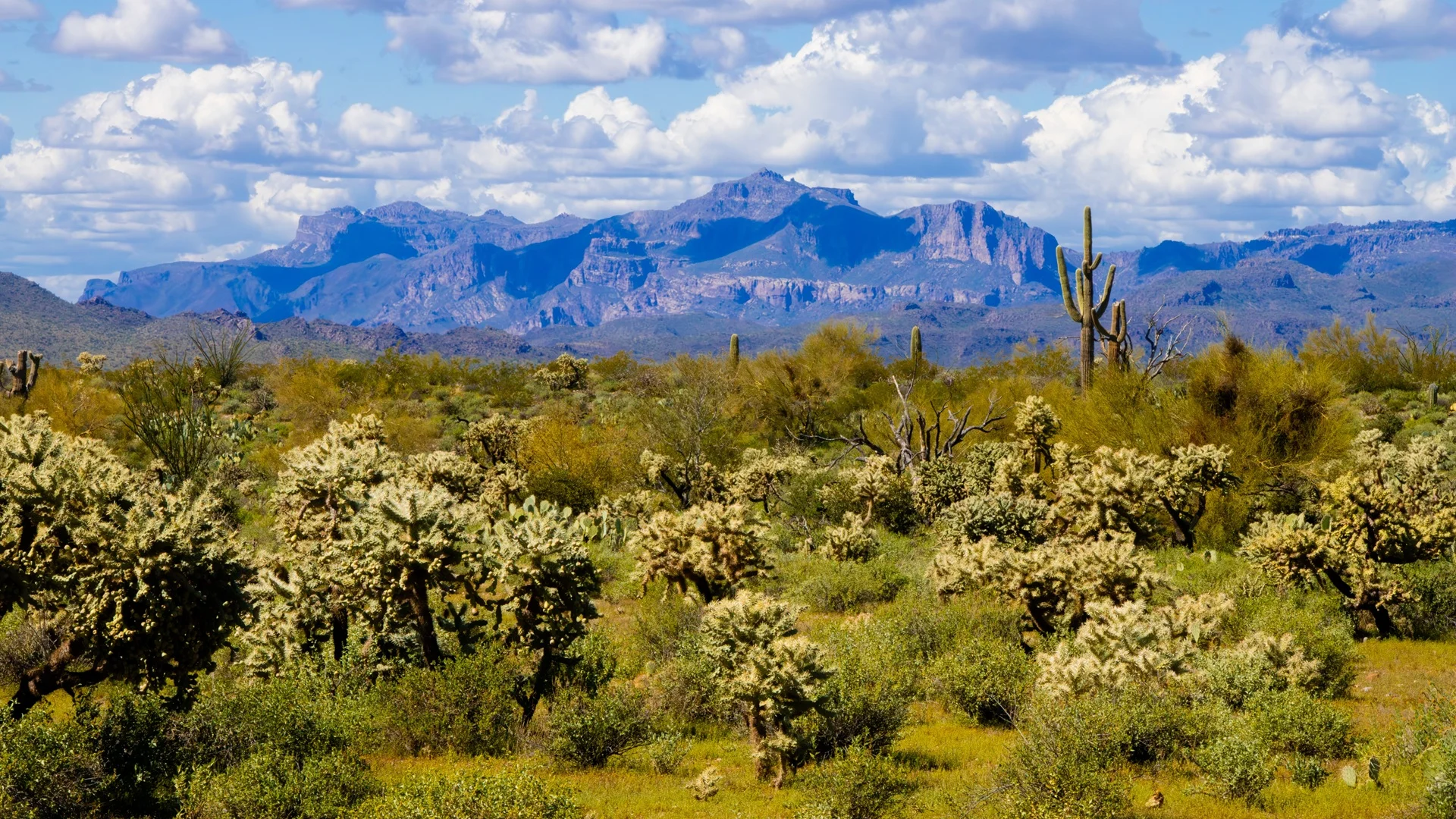 Maricopa County Proposes Changes to Rule 204: Changes to Emission Credit Guidelines