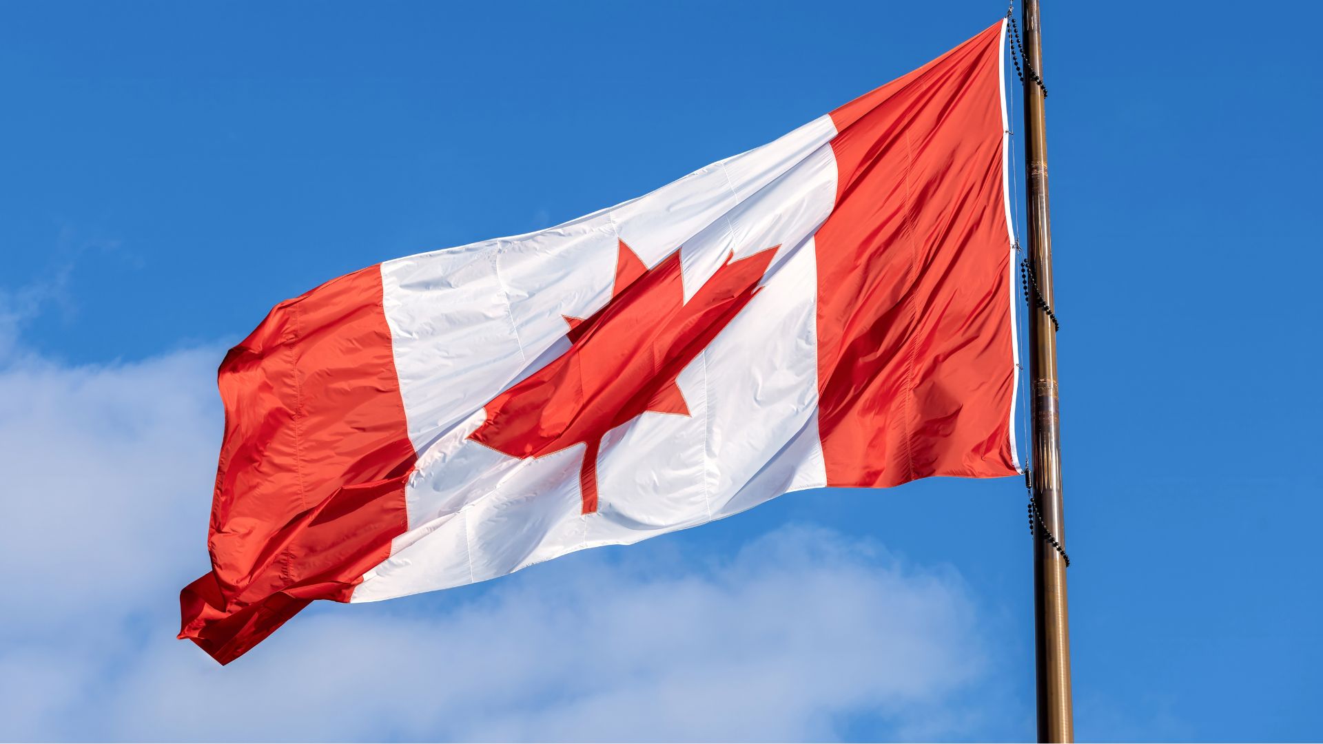 Navigating ODHSAR: Key Requirements for Refrigerants and Halocarbon Management in Canada