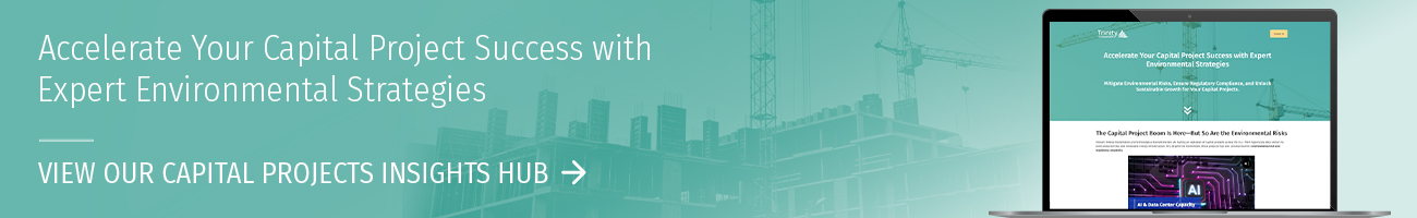 Capital Projects Insight Hub Promo Banner