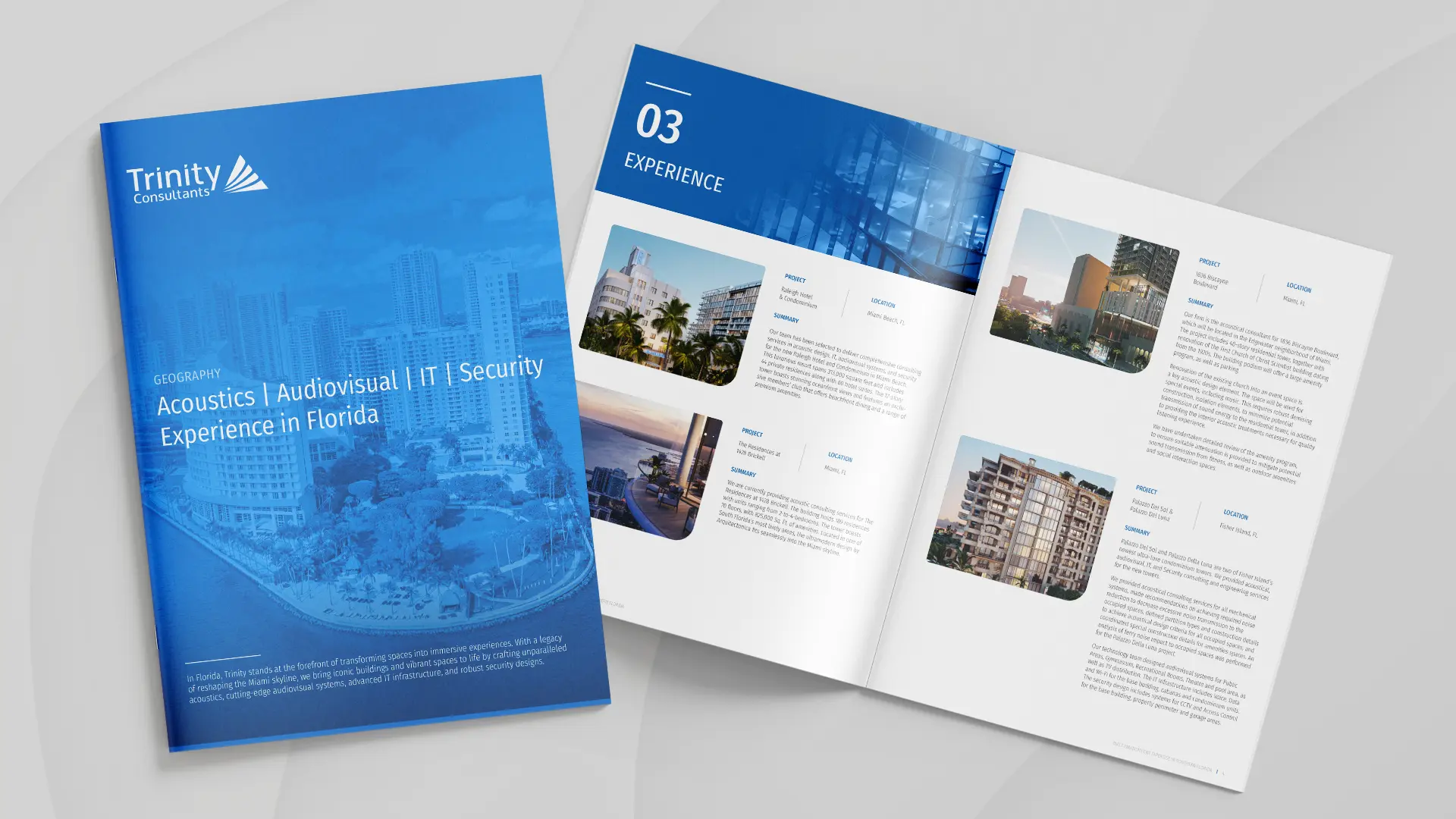 Acoustics, Audiovisual, IT & Security Experience in Florida Brochure