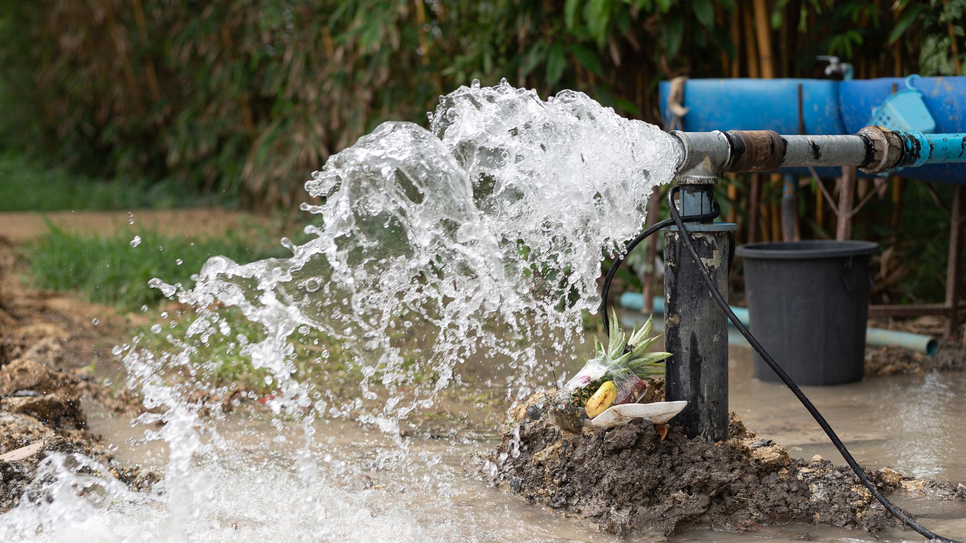 Kern County Subbasin Faces Potential Probation Designation Under the SGMA by the California State Water Resources Control Board