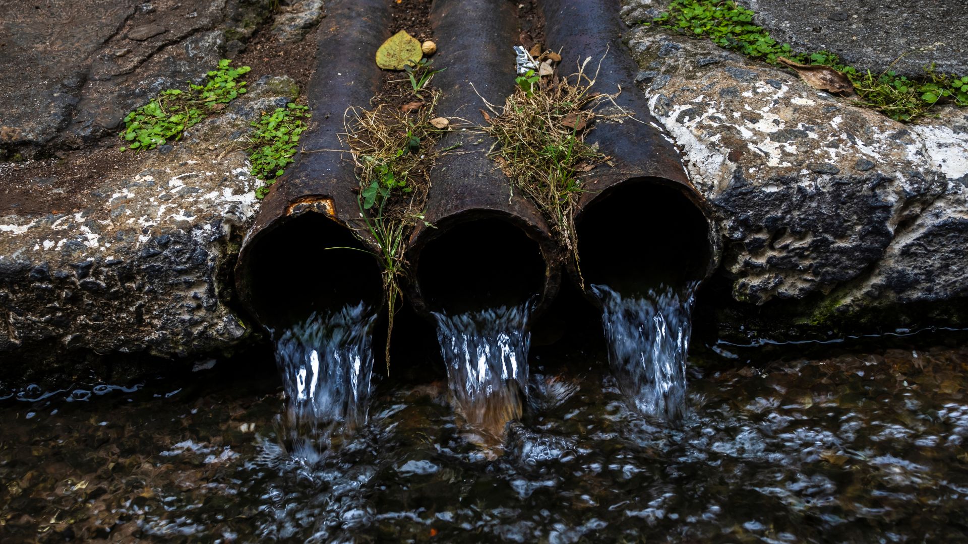 North Carolina DEQ Industrial Stormwater Permit Renewals: What SWPPP Updates You Should be Reviewing Now