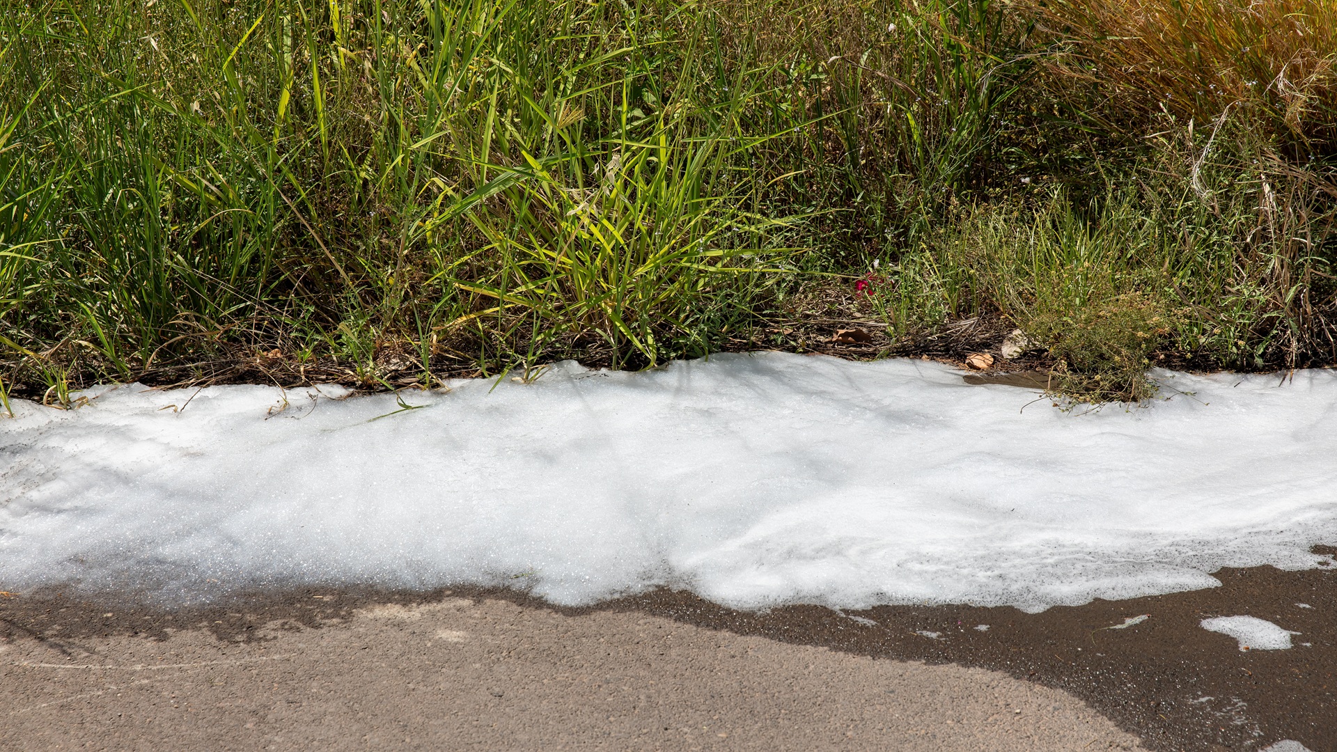Updates to MassDEP TURA Reporting – PFAS