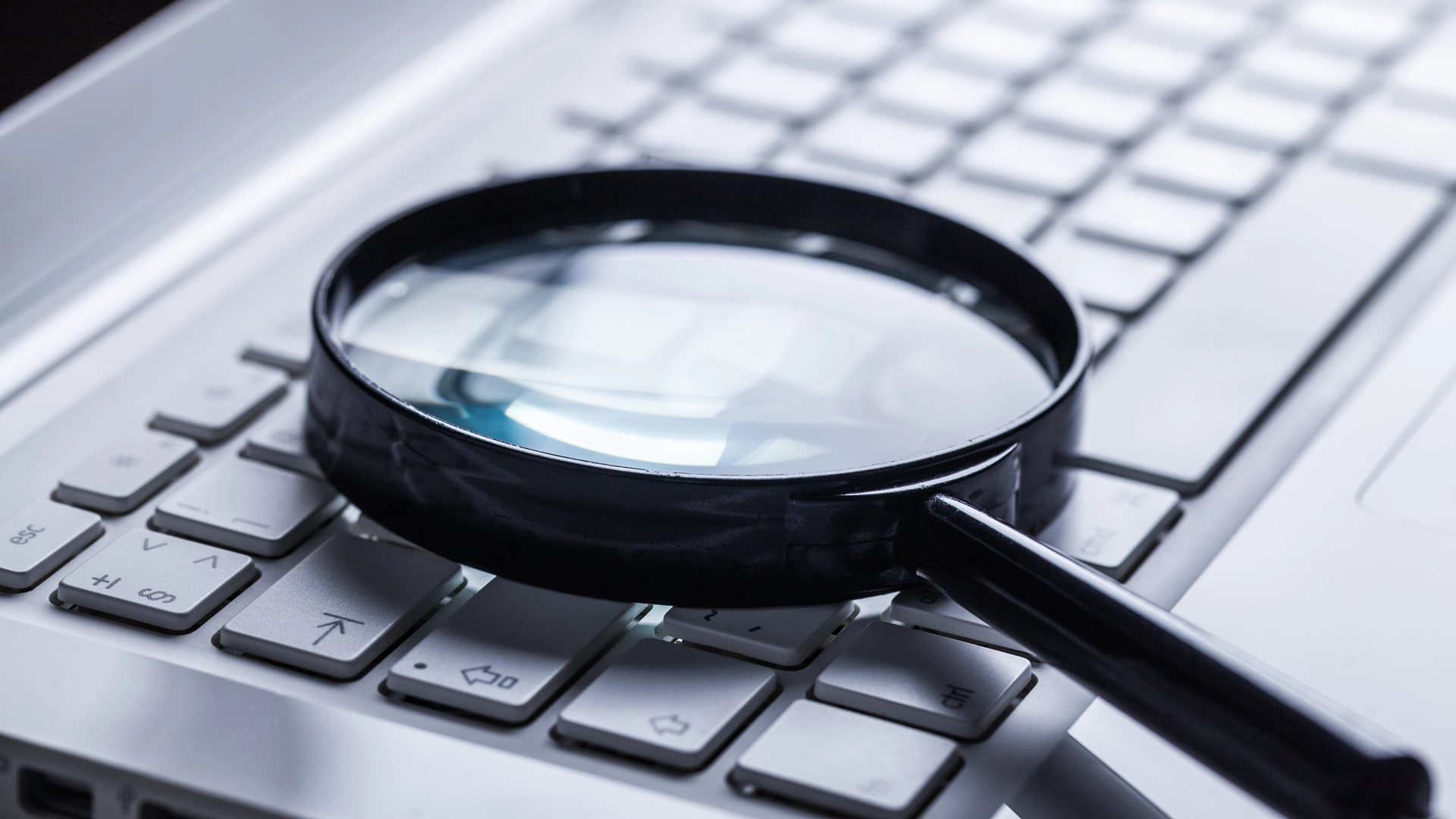 EHS Consulting for Virginia Industry Service Sheet
