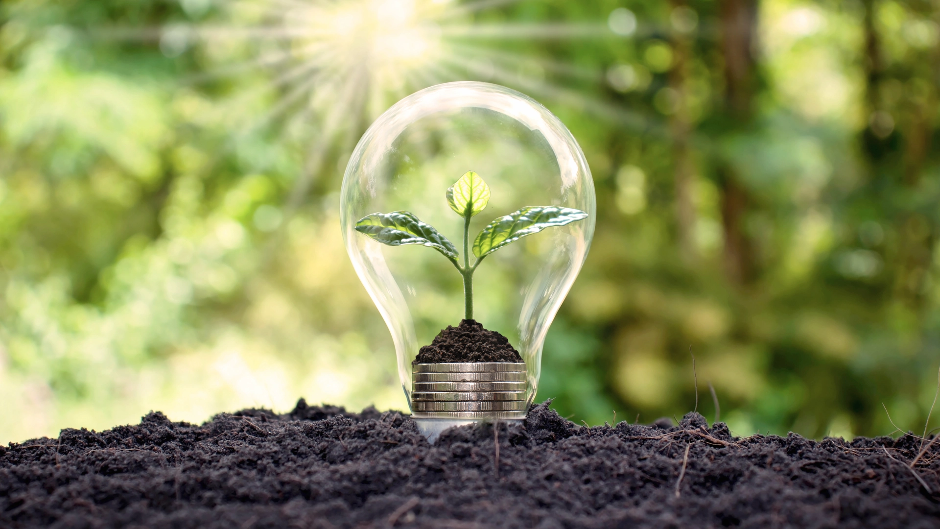 Environmental Metrics and Targets Service Sheet