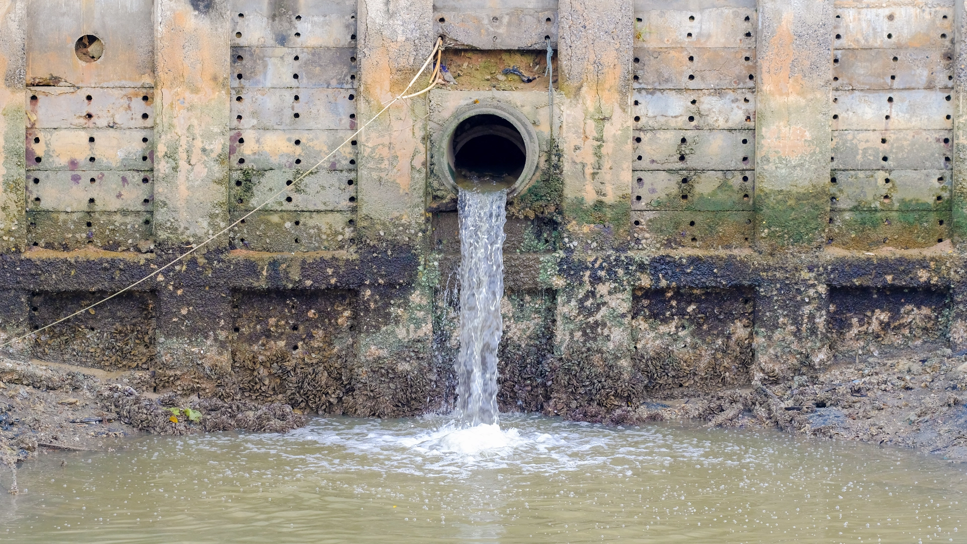 Washington Issued the 2025 Industrial Stormwater General Permit