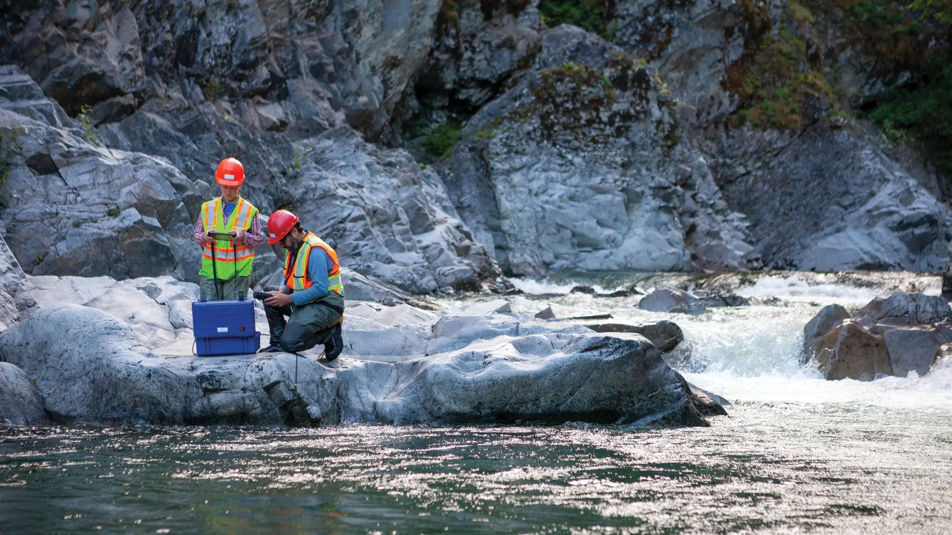 Environmental Assessment and Permitting Service Sheet