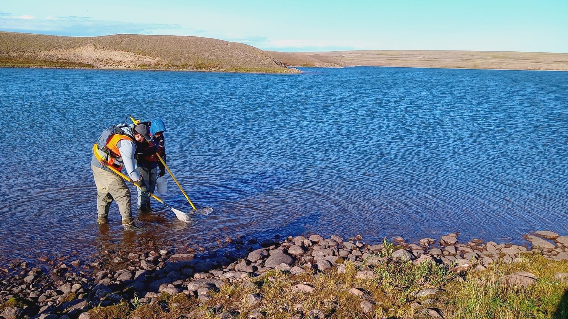 Fish and Fish Habitat Protection – Technical Support and Permitting Service Sheet