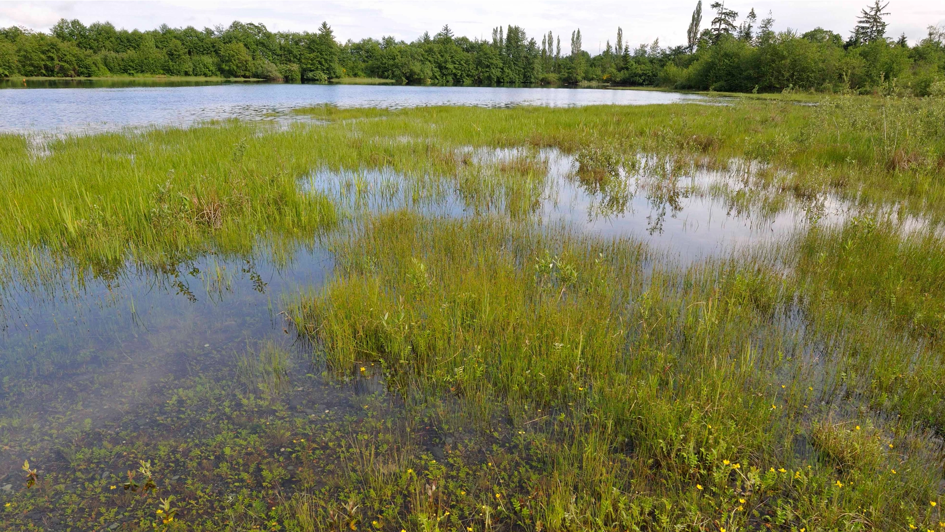 Habitat Restoration and Offsetting Service Sheet