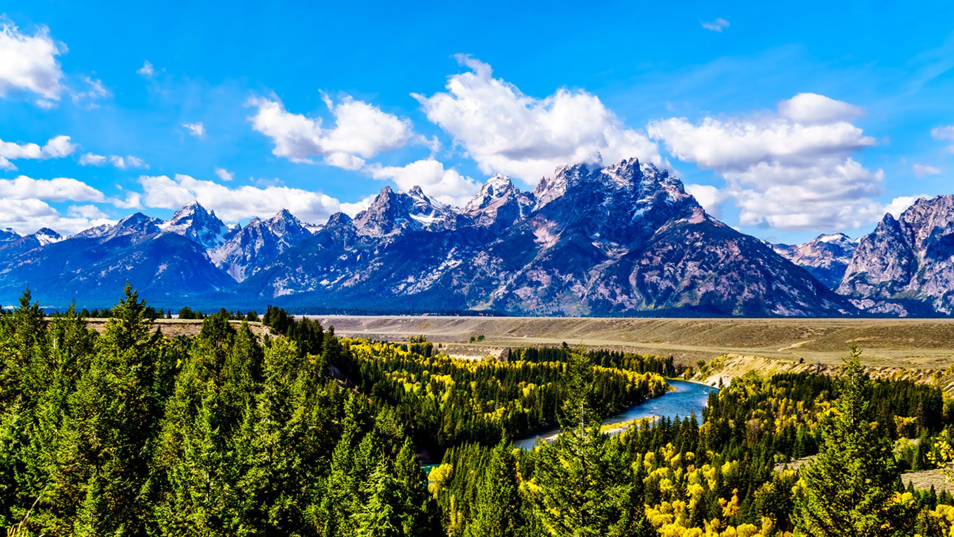 Wyoming Governor Signs Updated Greater Sage-Grouse Executive Order