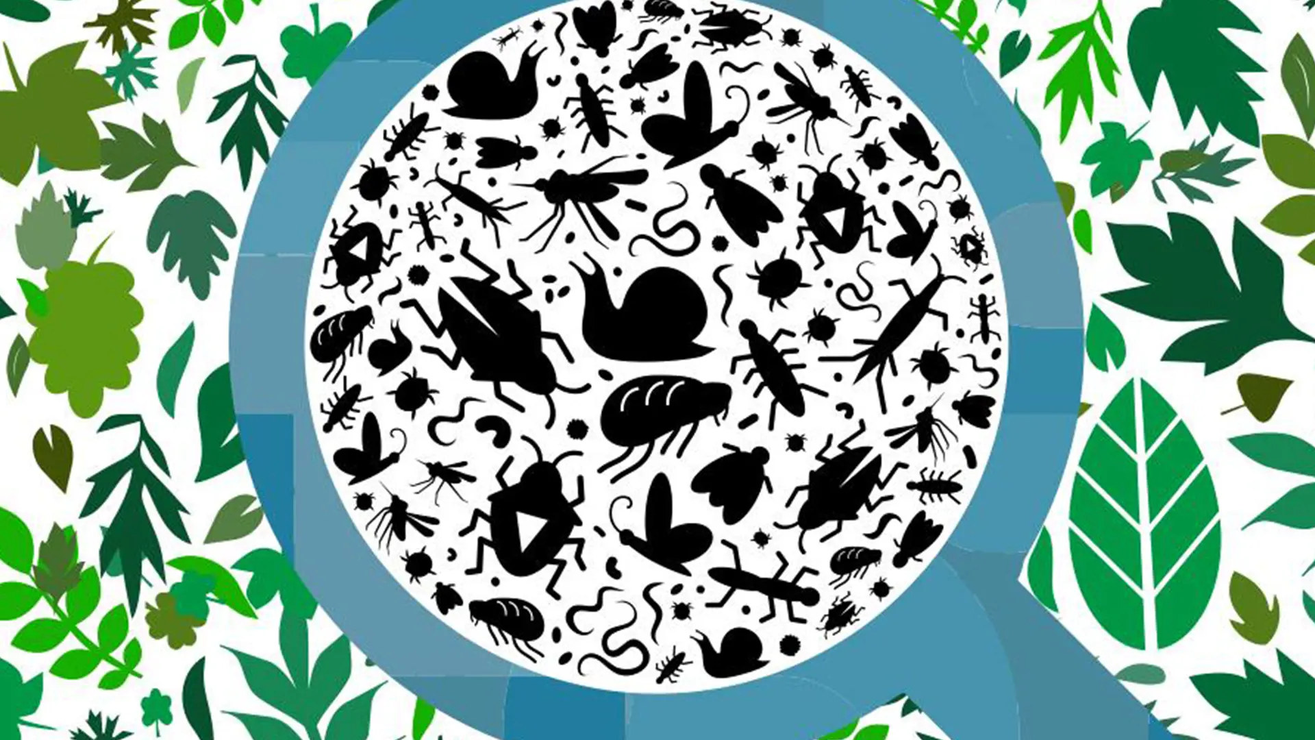 Trinity Consultants Acquires U.K. Ecology Firm ECOSA