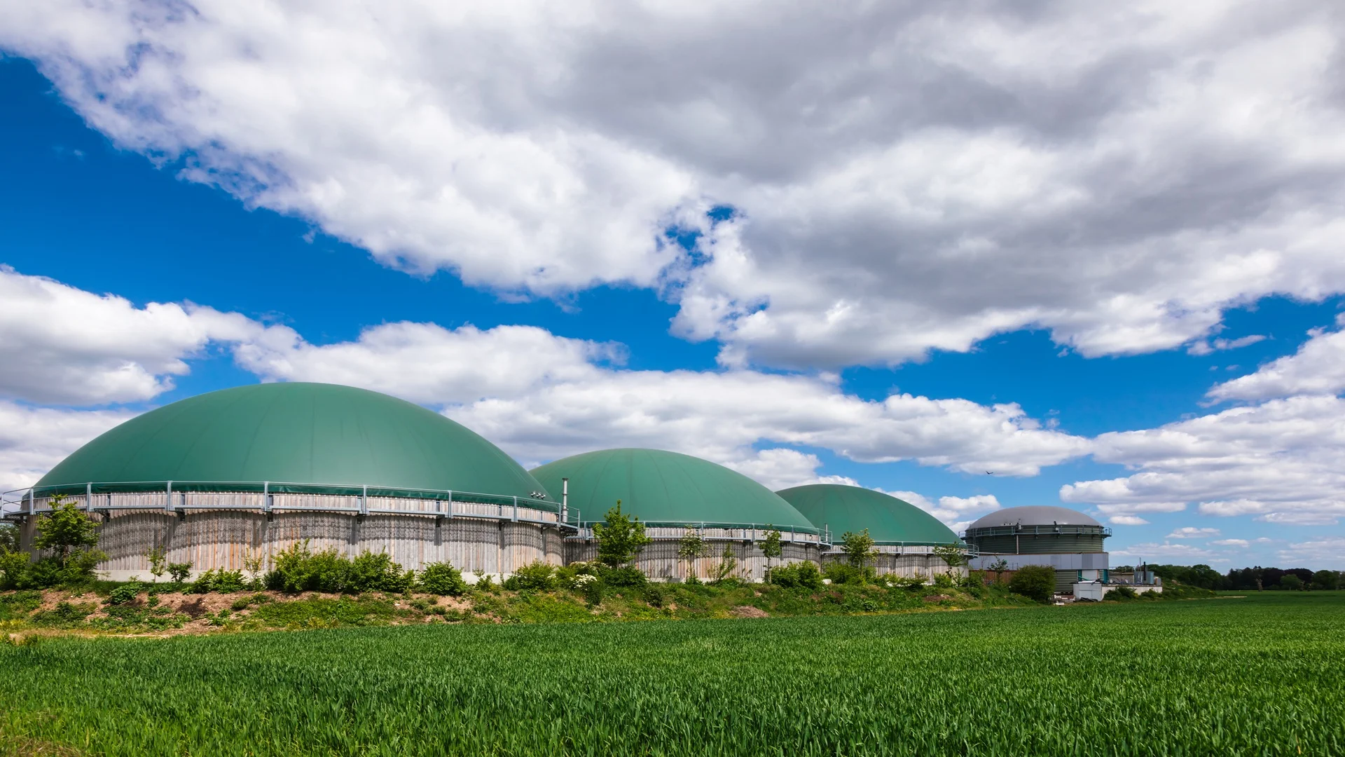 COMAH Support at Rural Anaerobic Digestion Facility
