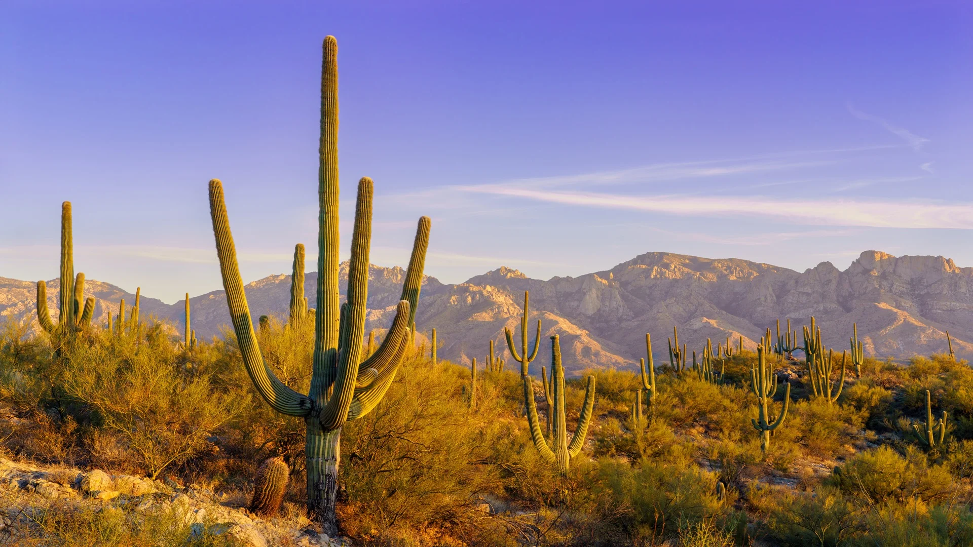 Securing Project Permits in Ecologically Sensitive Spaces