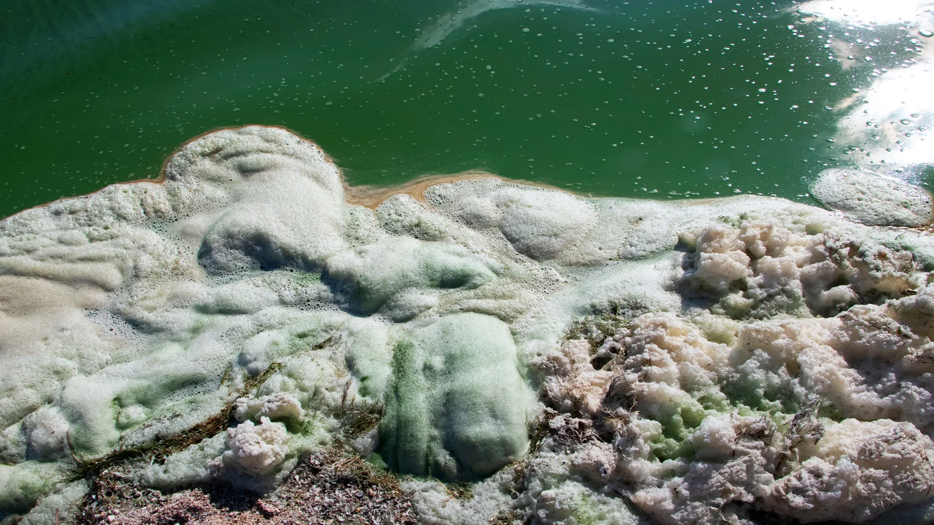 PFAS Compliance Support