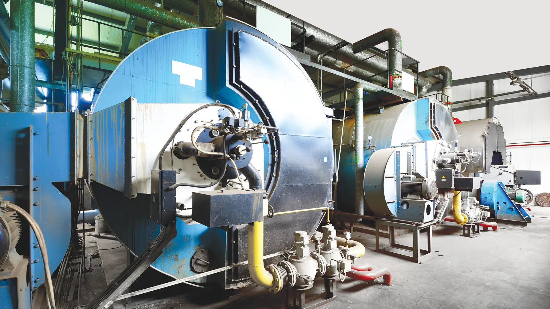 EHS Quarterly Issue 10