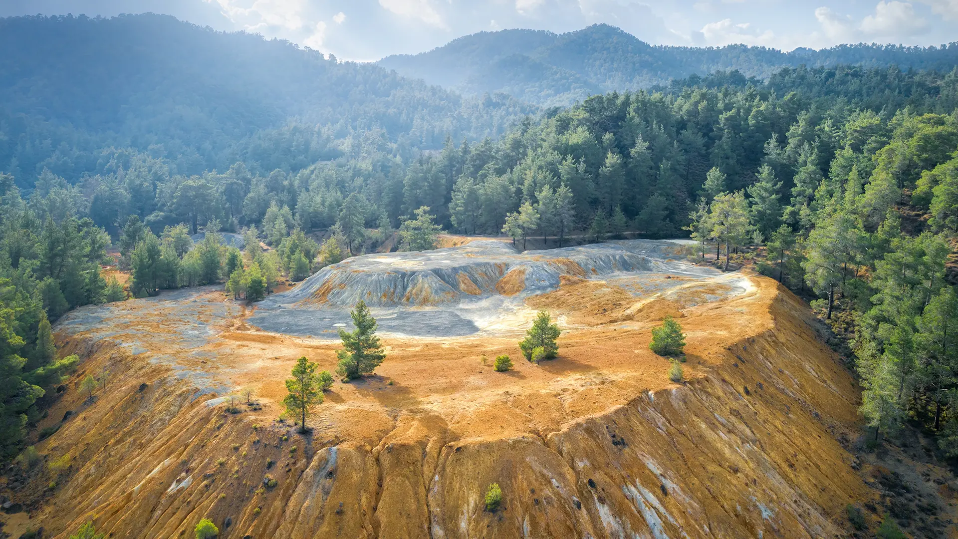 Environmental Restoration