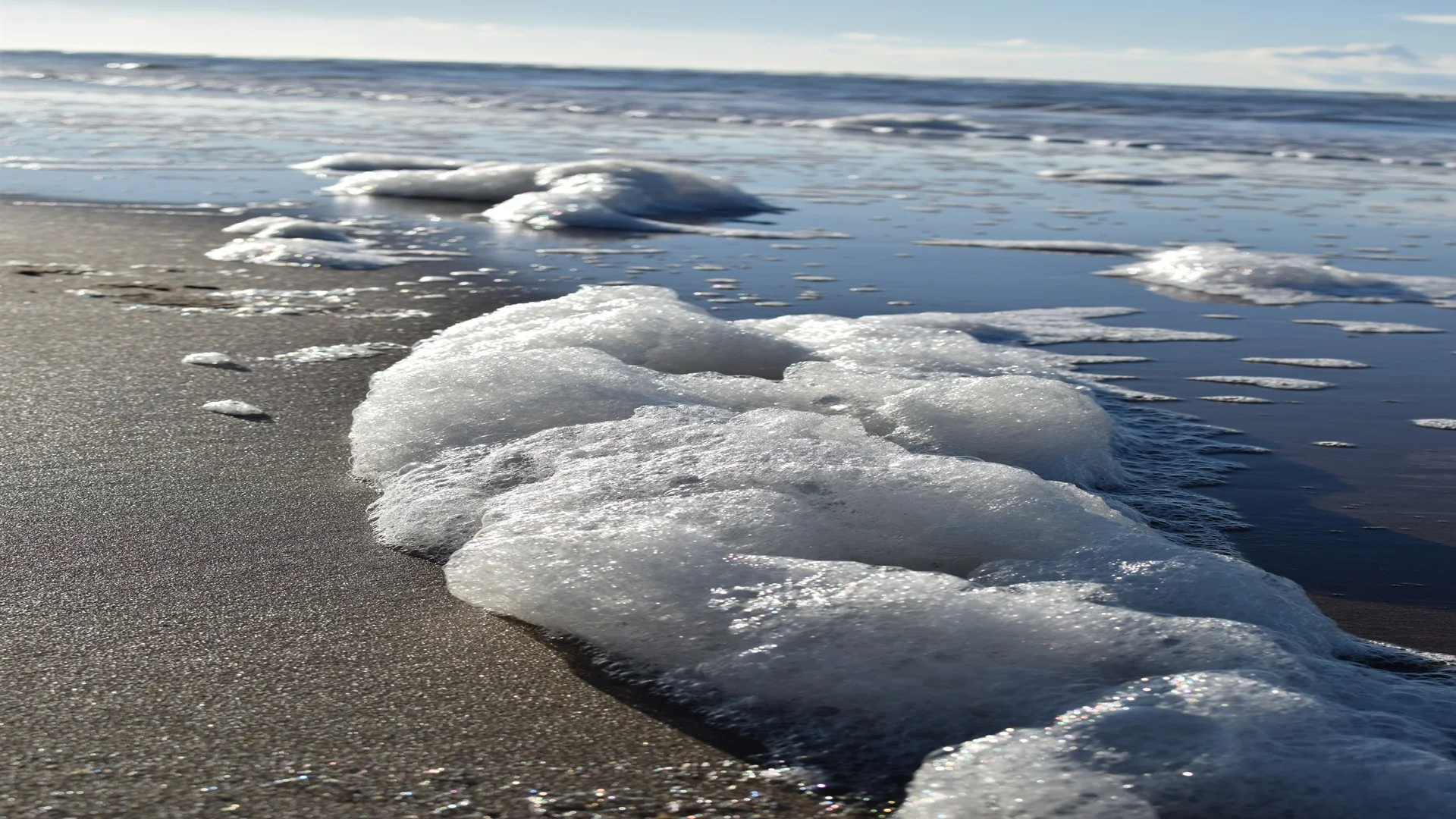 TRI PFAS Update: This Year’s Enhanced Requirements