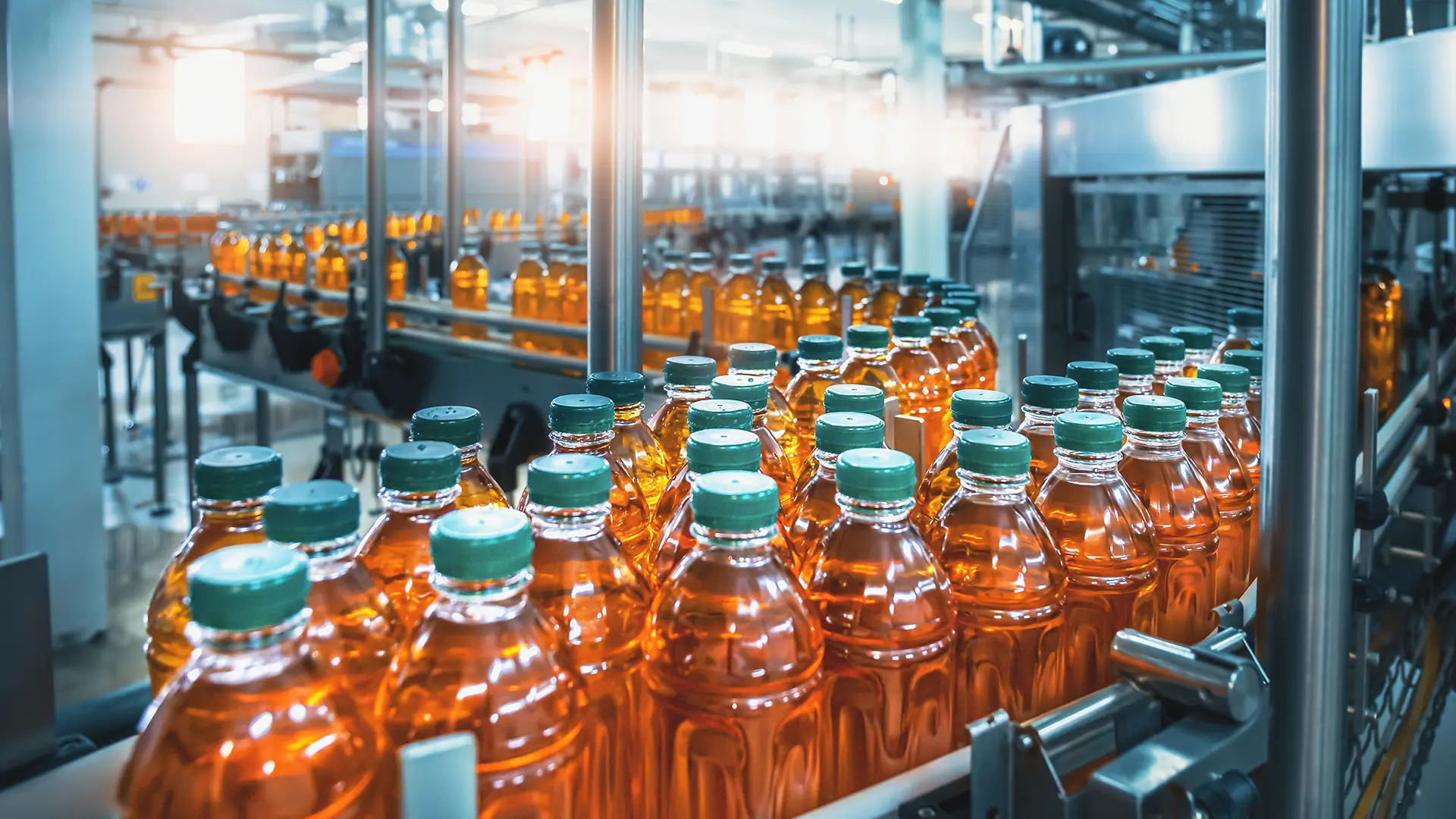 Food & Beverage Processing