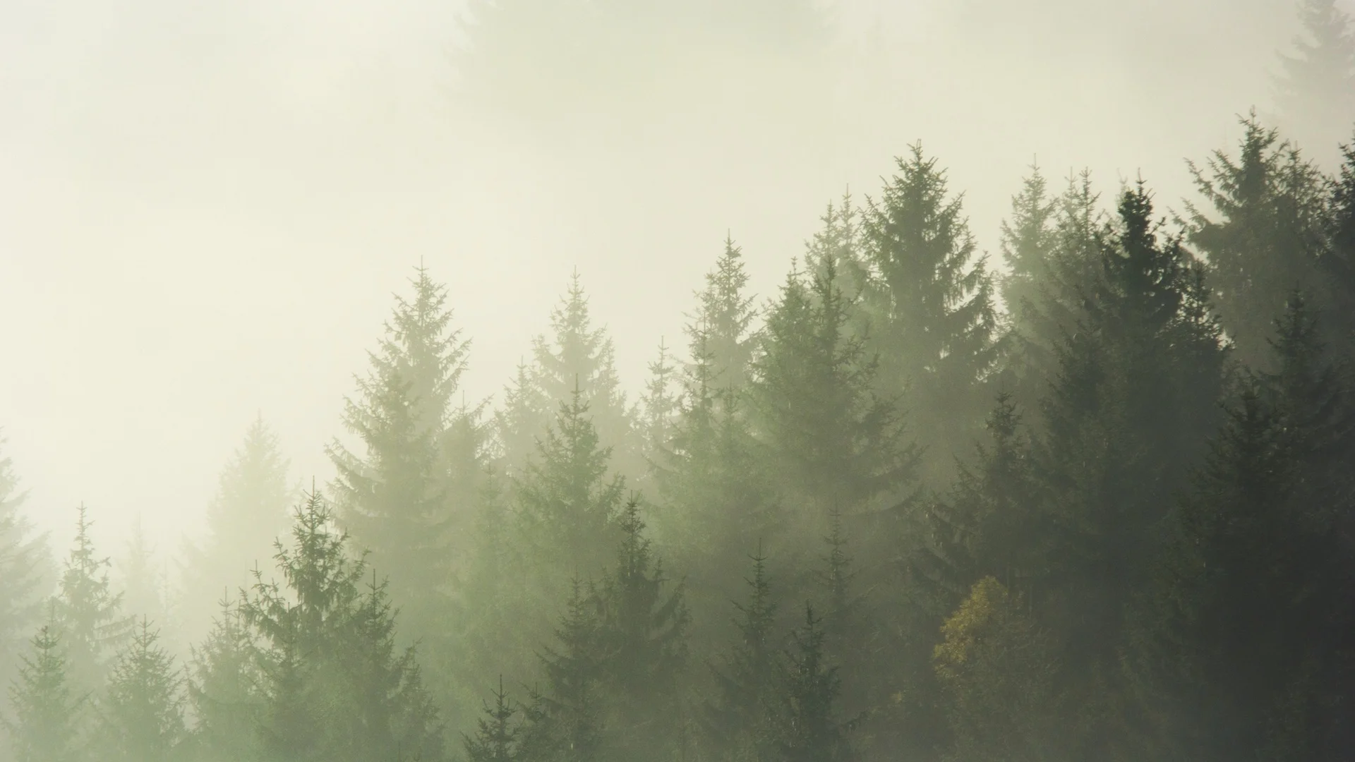 Crafting Your Climate Strategy: What You Need to Know When Developing a GHG Inventory