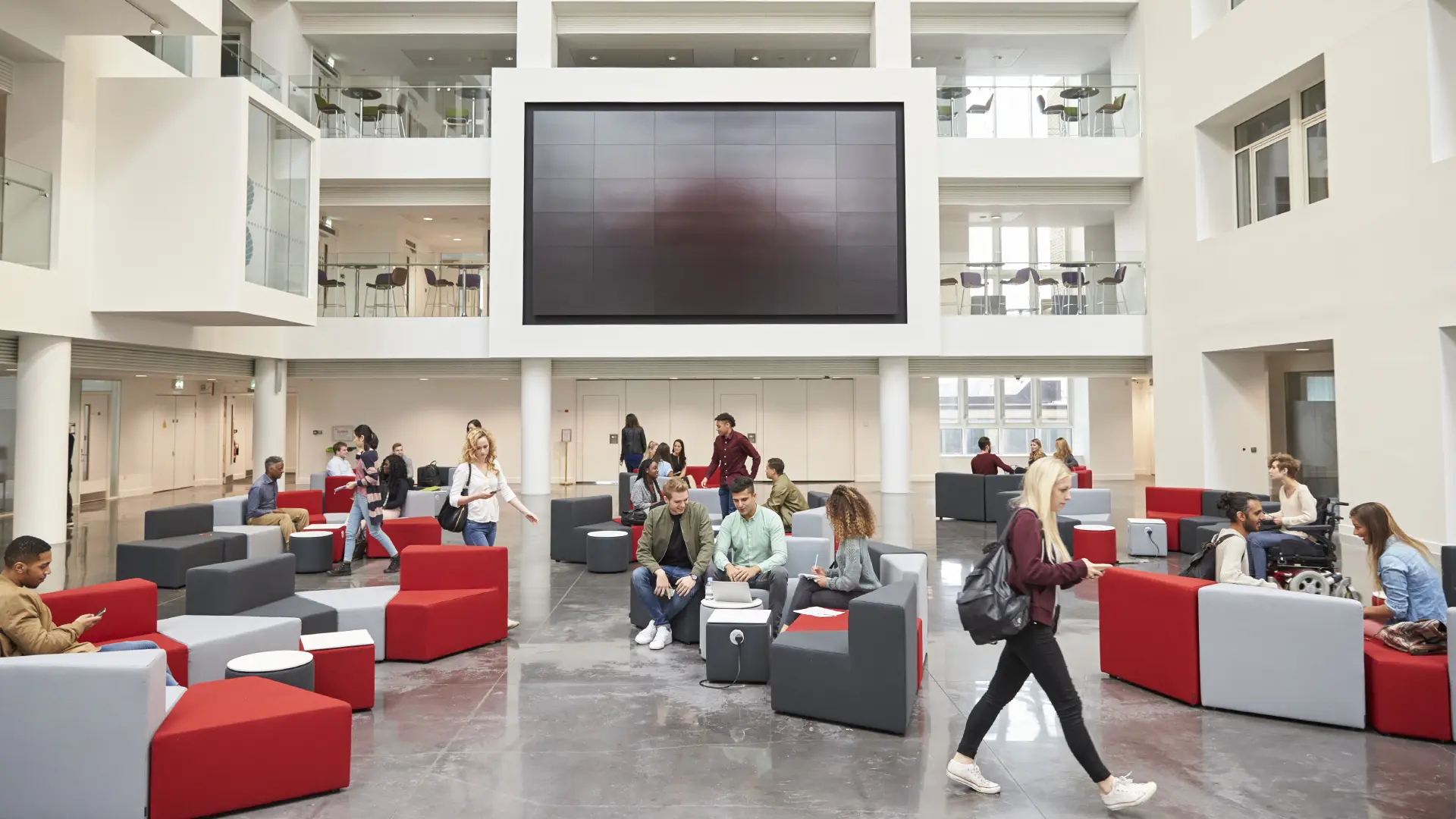 Higher Education