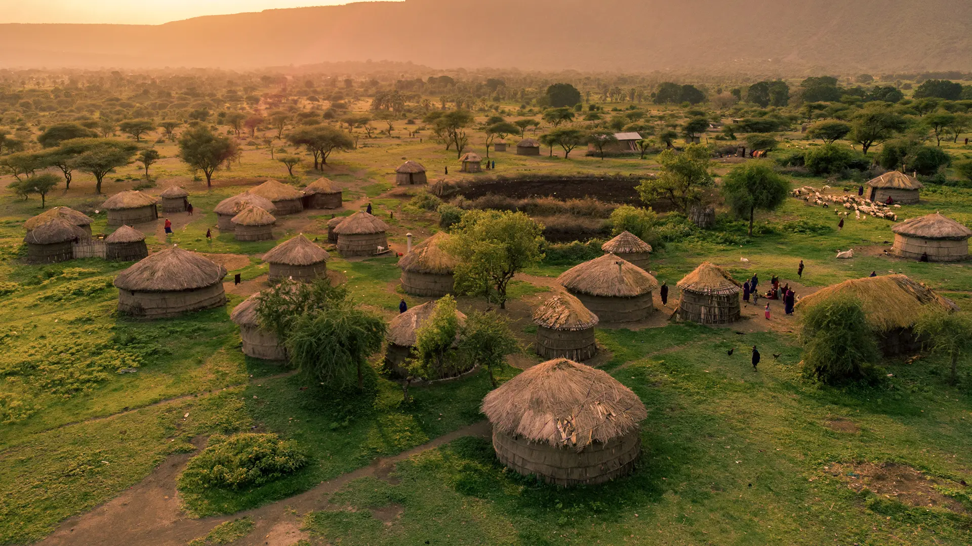 Indigenous Communities