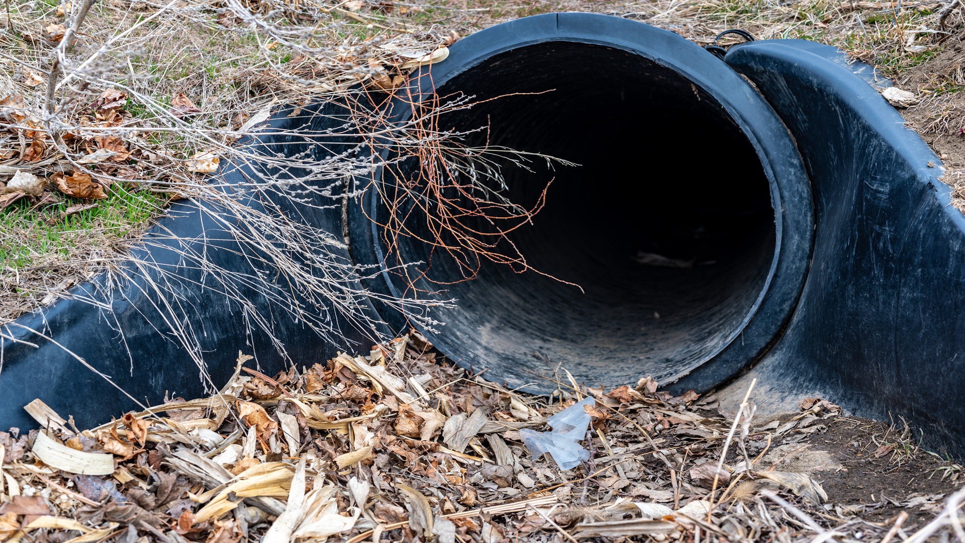 Renewal Reminders for Colorado’s No Exposure Certifications (NECs) What to Know Before Your NEC Expires on February 10