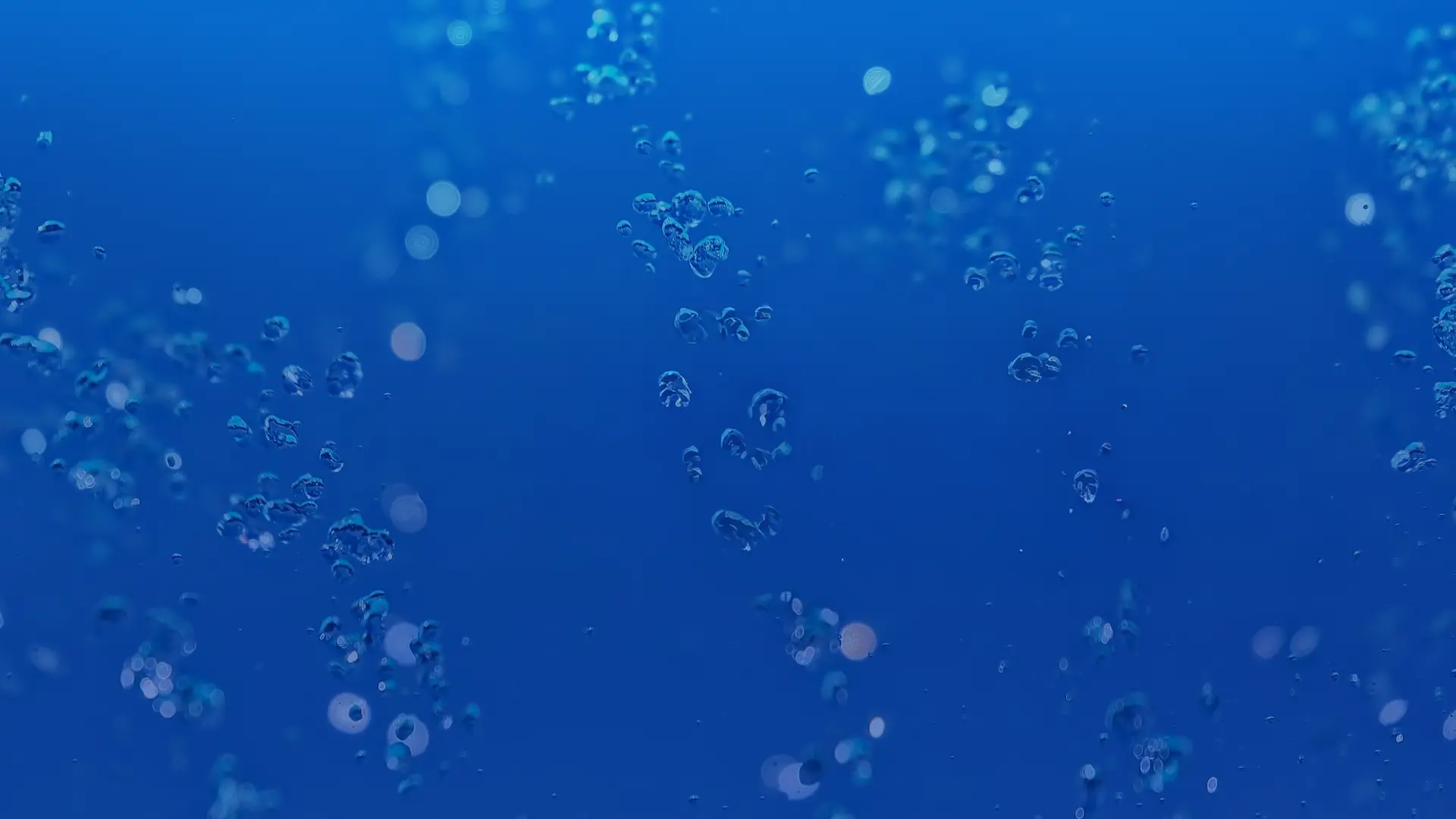Computational Fluid Dynamics in Pharmaceuticals eBook