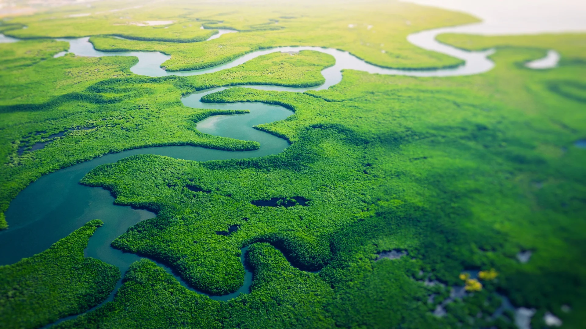 Harnessing Digital Strategies to Measure Biodiversity Impact and Build Stakeholder Trust