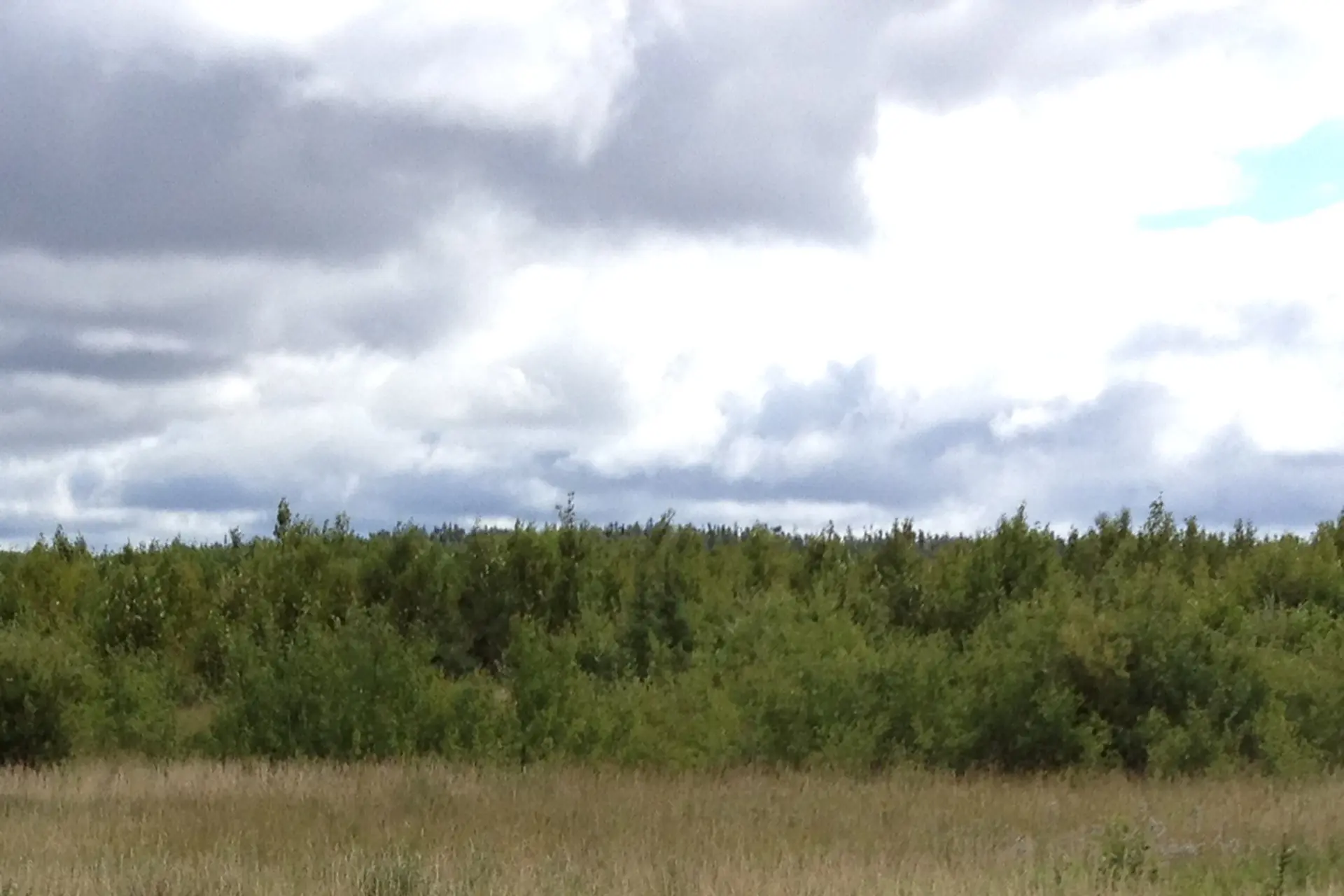 Mine Closure & Reclamation