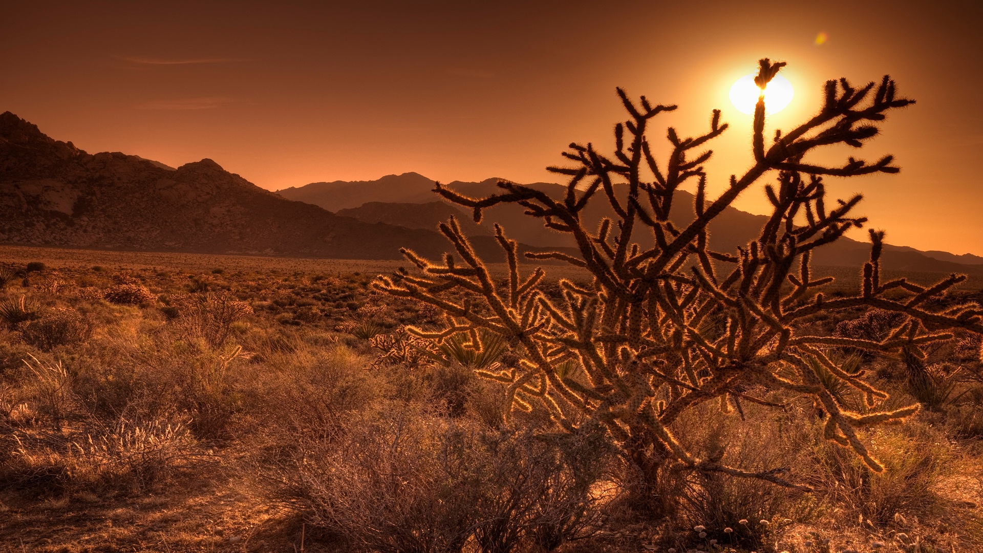 MDAQMD Wins Contentious Litigation Against EPA on Nonattainment New Source Review Disapproval