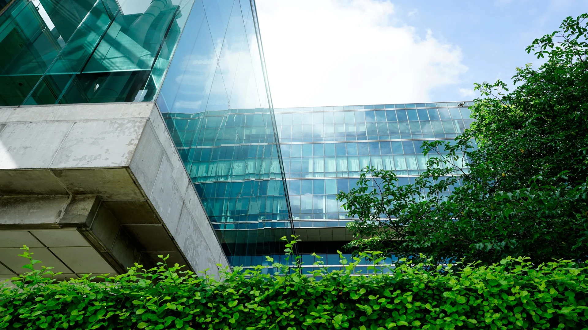 Large Building Energy Reporting – An Overview for Building Owners