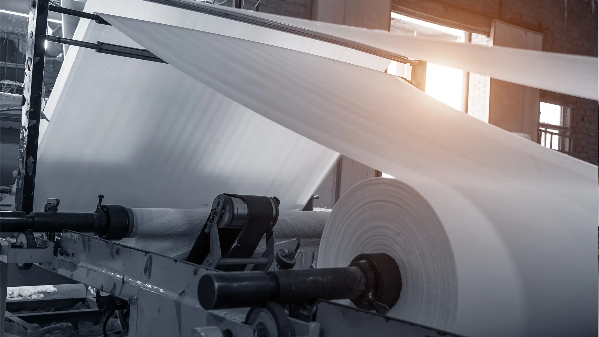 Pulp & Paper Products