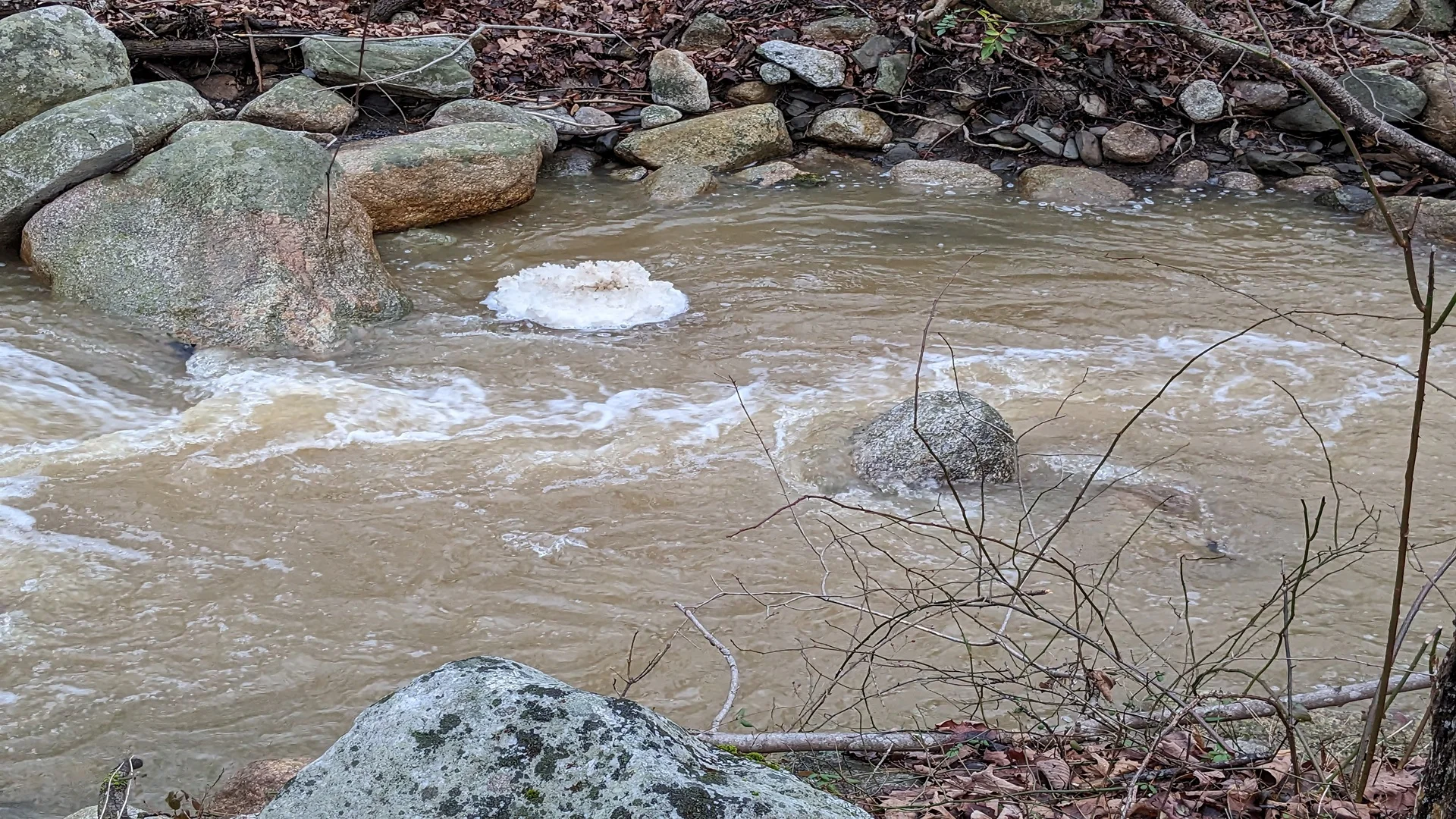 PFAS Requirements May Be Coming Soon to Georgia EPD Wastewater Permits