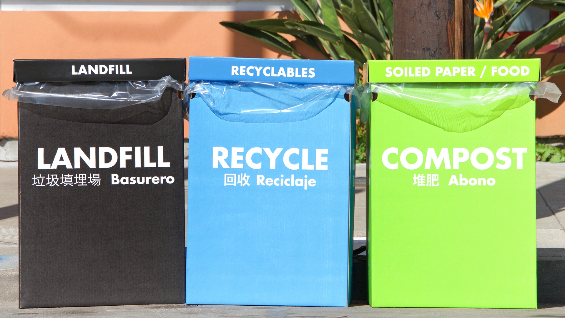 SB 54 January 2026 Updates