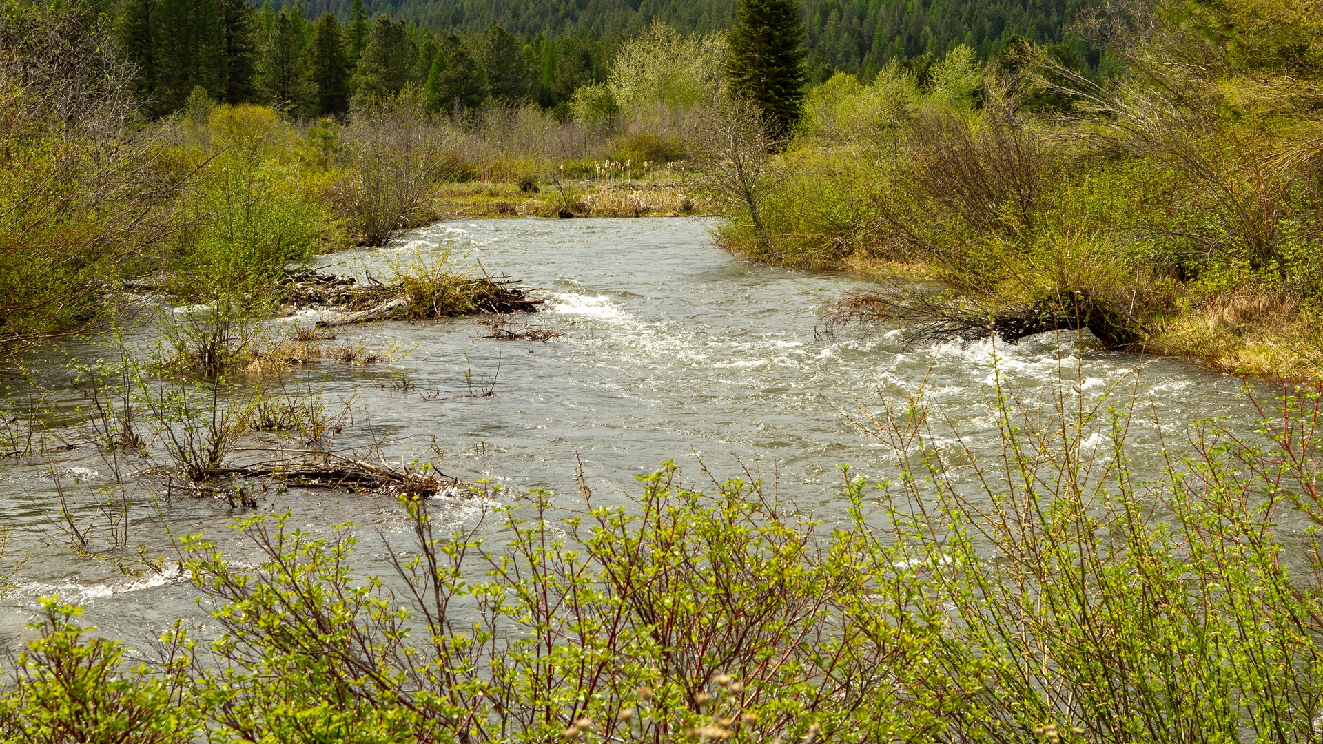 Oregon Begins Triennial Review of Water Quality Standards