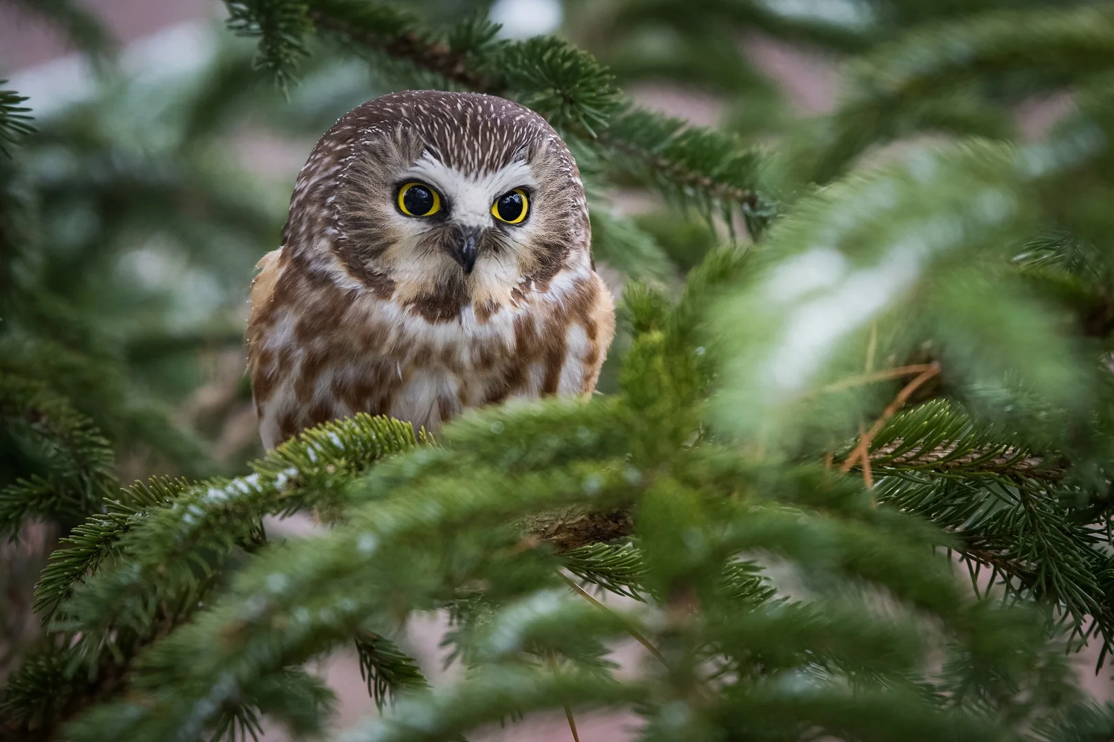 Working Toward a Nature-Positive Business with a Science-based Approach to Nature and Biodiversity