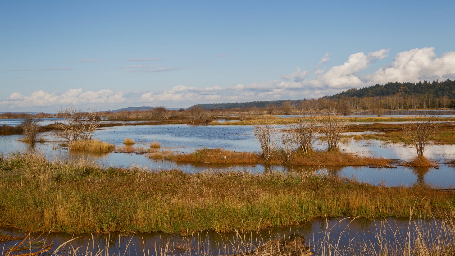 New WOTUS Supreme Court Decision: Goodbye Significant Nexus, Hello Continuous Surface Connection