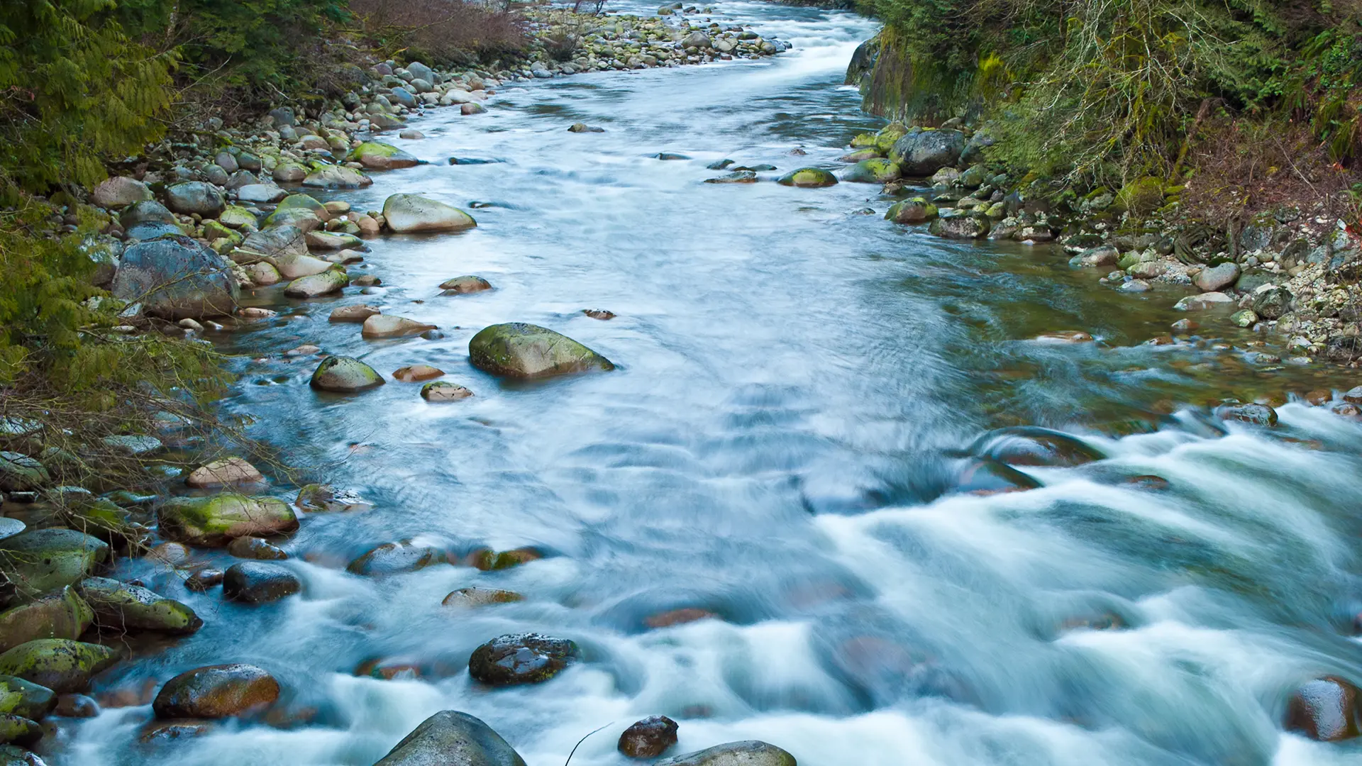 Aquatic Monitoring & Environmental Assessments