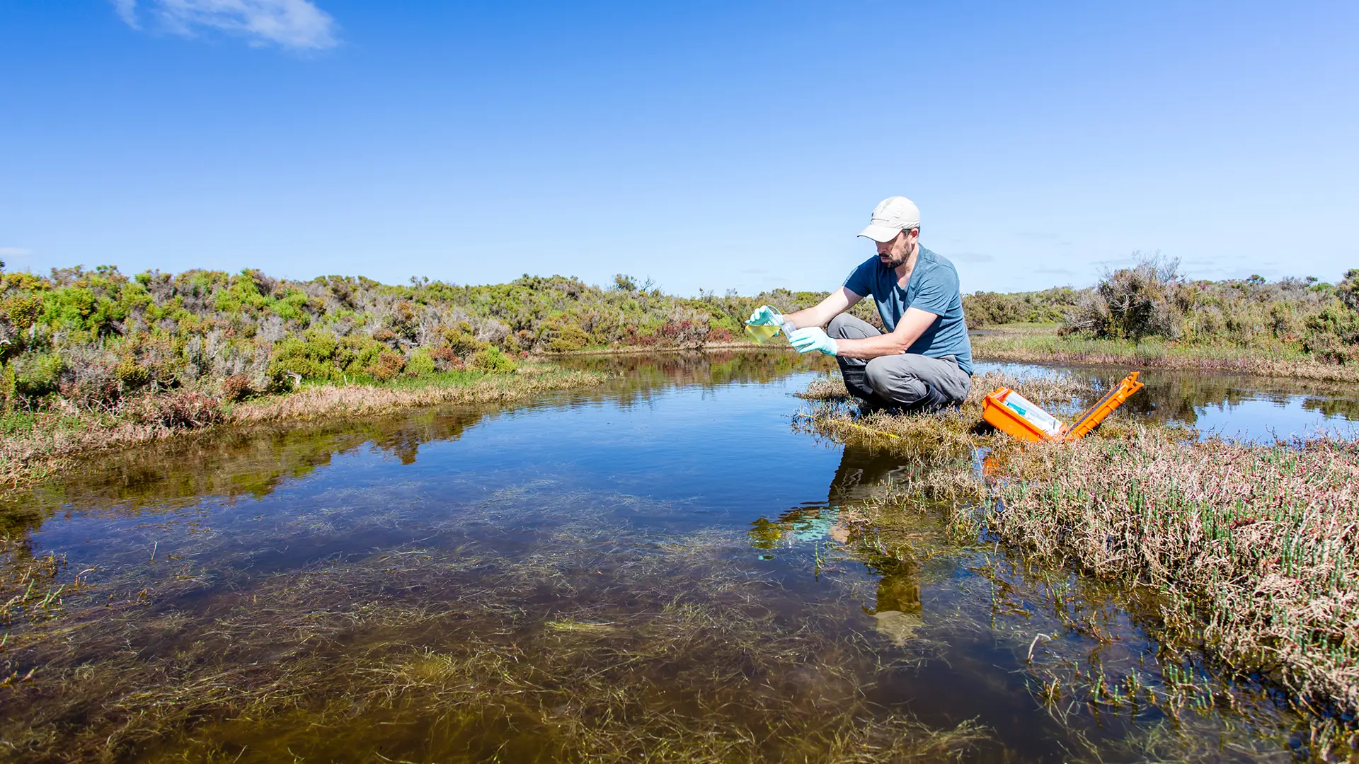Aquatic Toxicity Studies