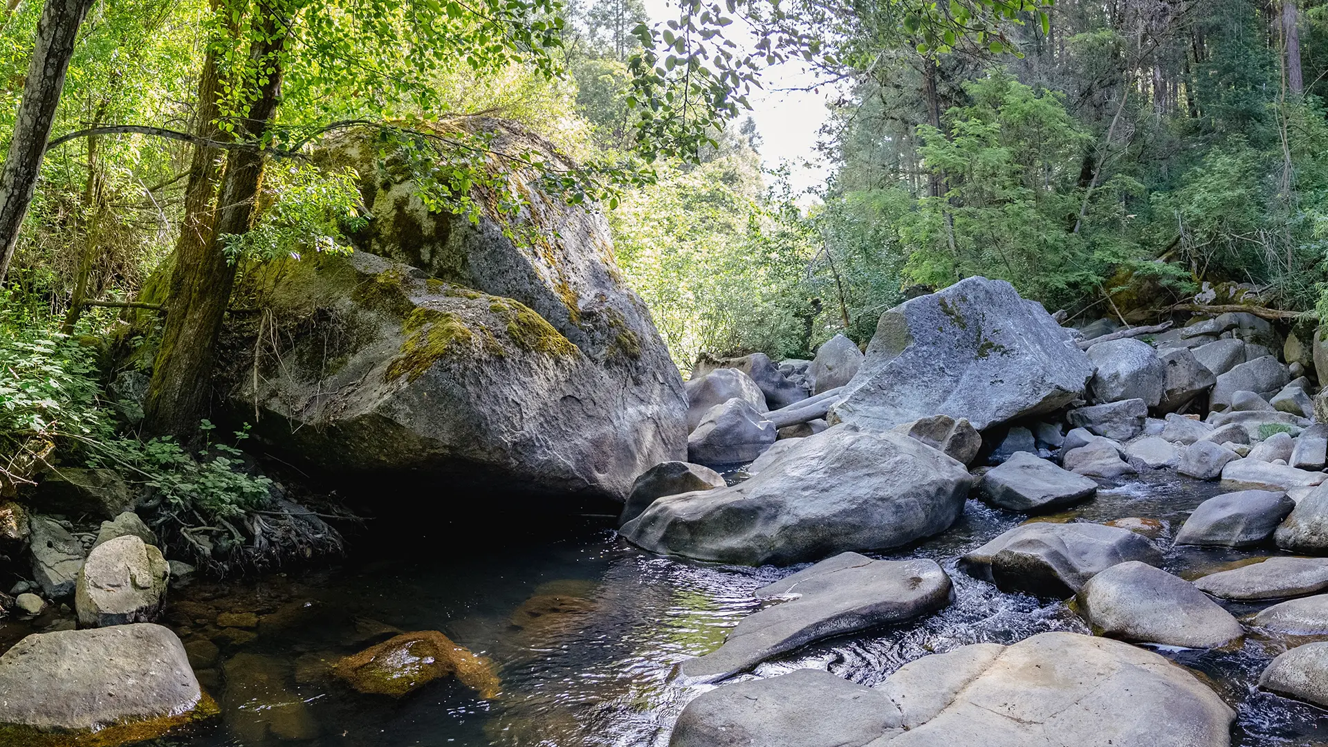 Integrated Water Resource Planning