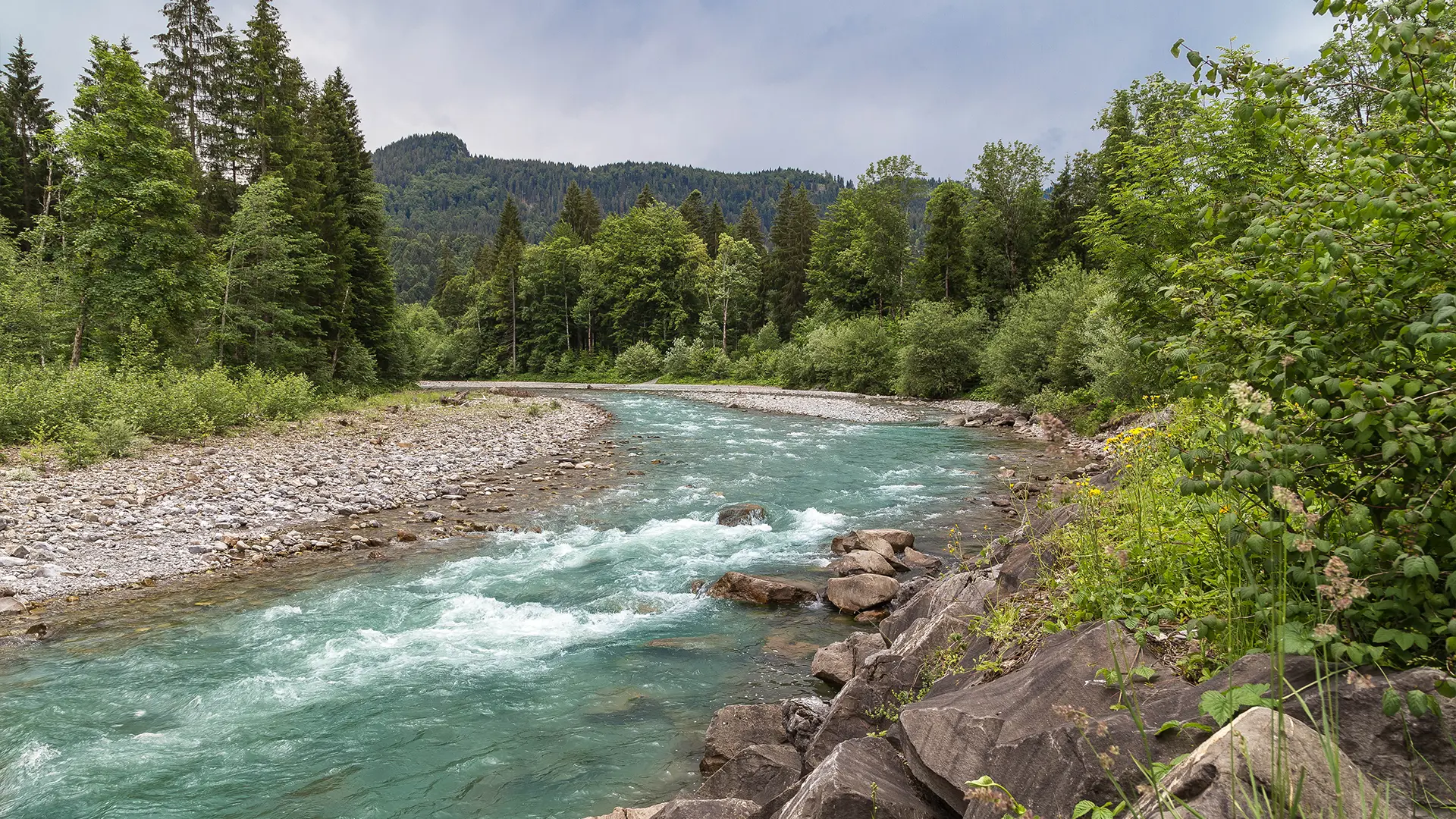 Natural Resource Planning & Permitting