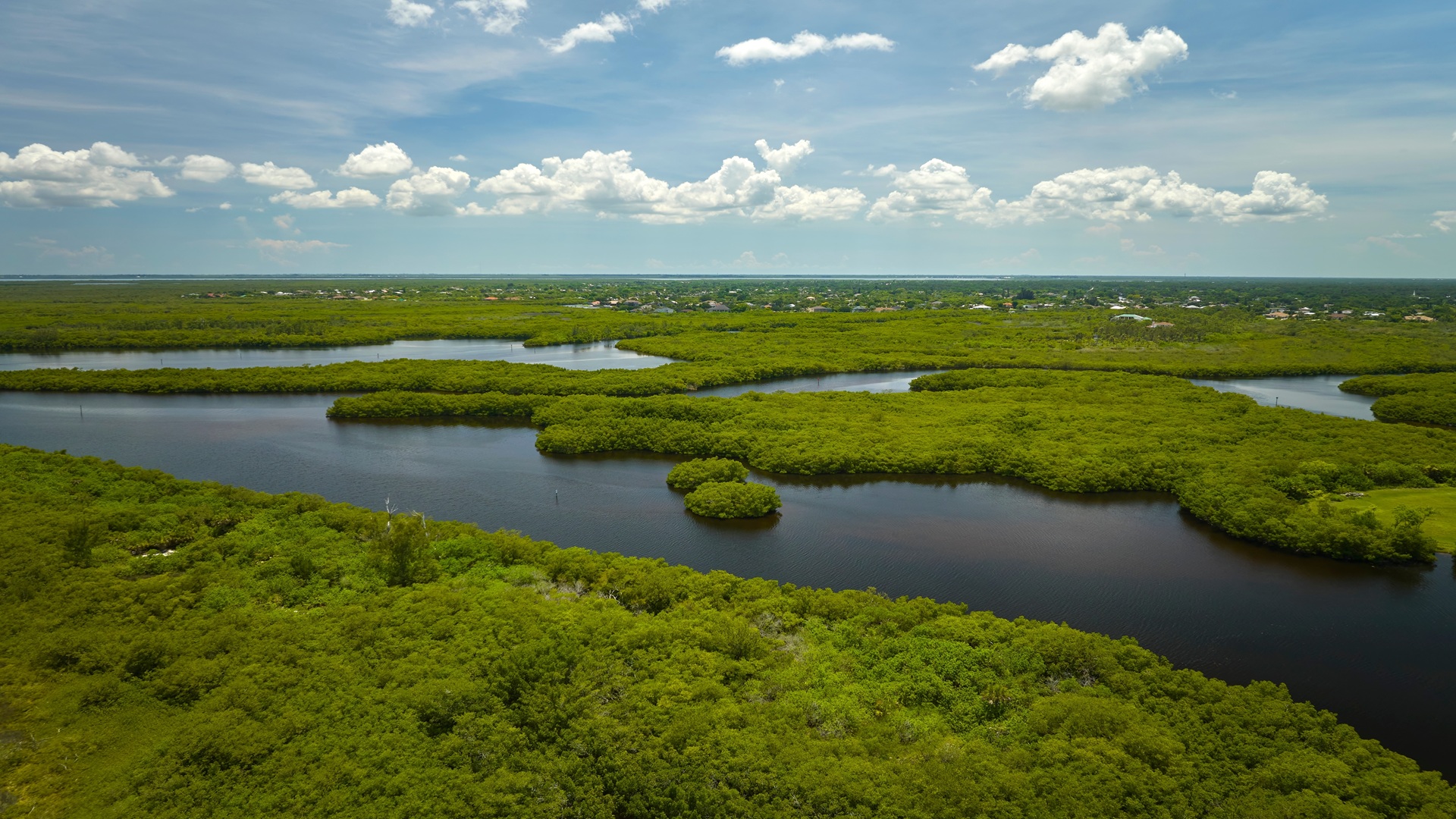 Proposed Updates to the Waters of the United States (WOTUS) Rule