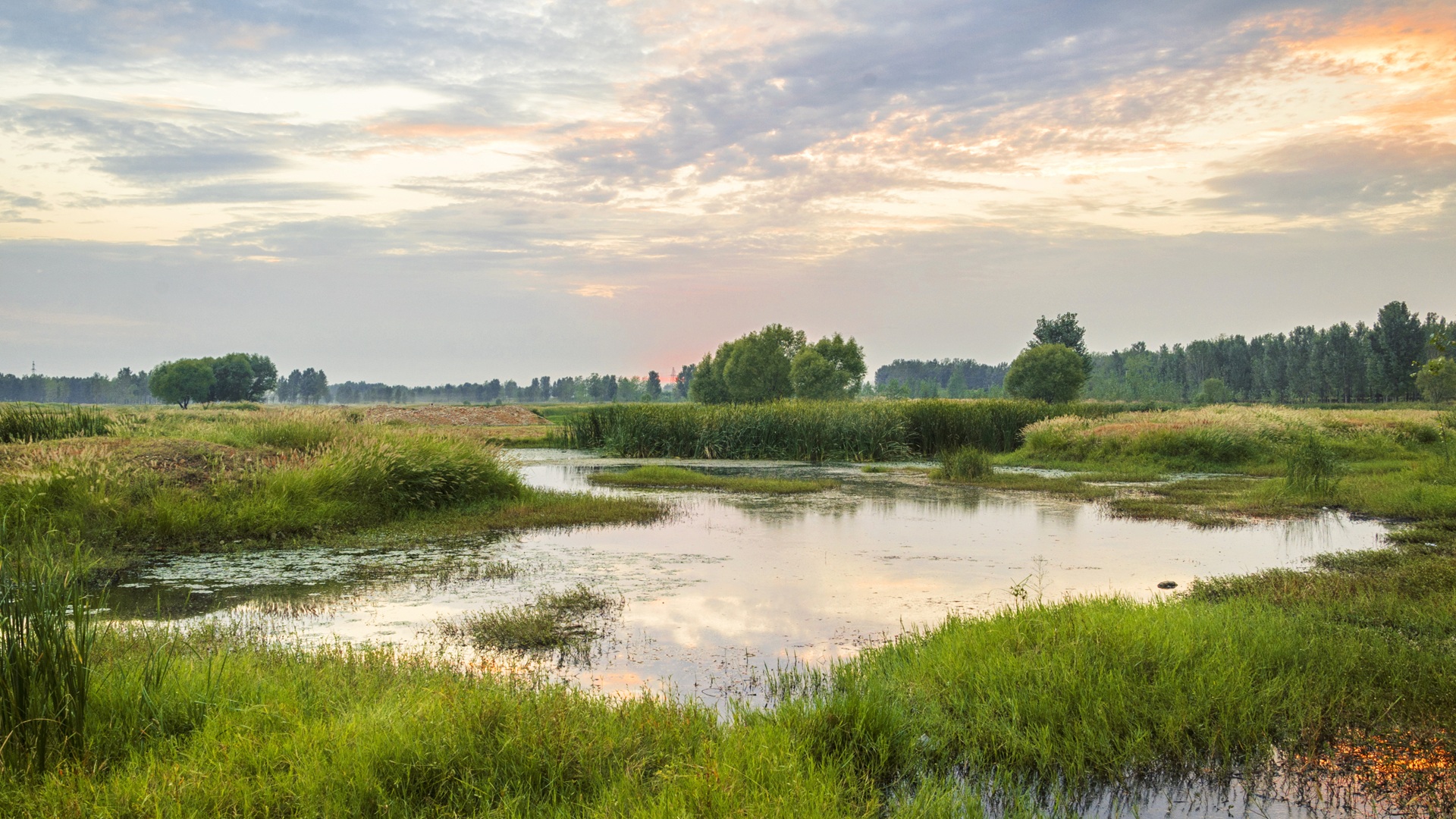 WOTUS – EPA and Corps of Engineers Issue the Latest Final Rule